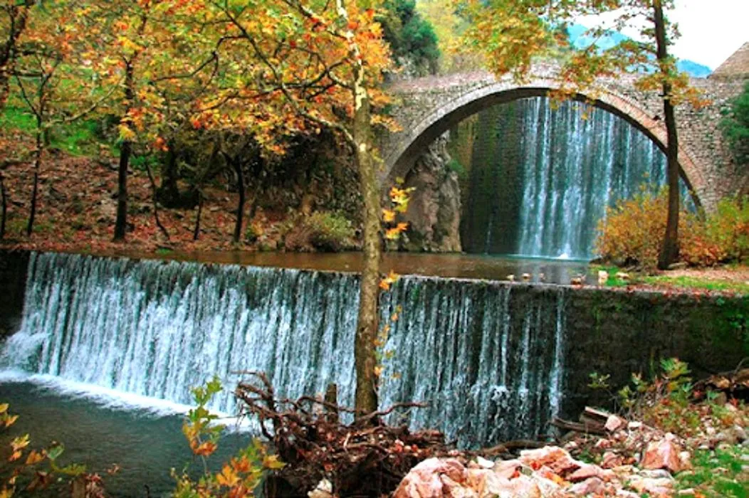 Activities in Elati Electra's Cozy House