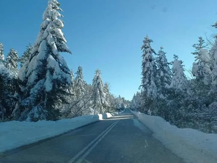 Neighbourhood in Elati Electra's Cozy House