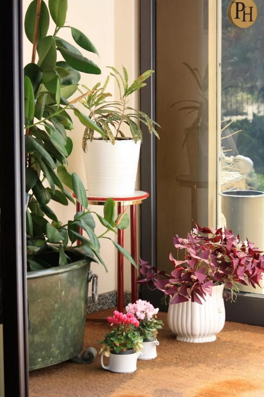 Decorative detail in Polo Hotel