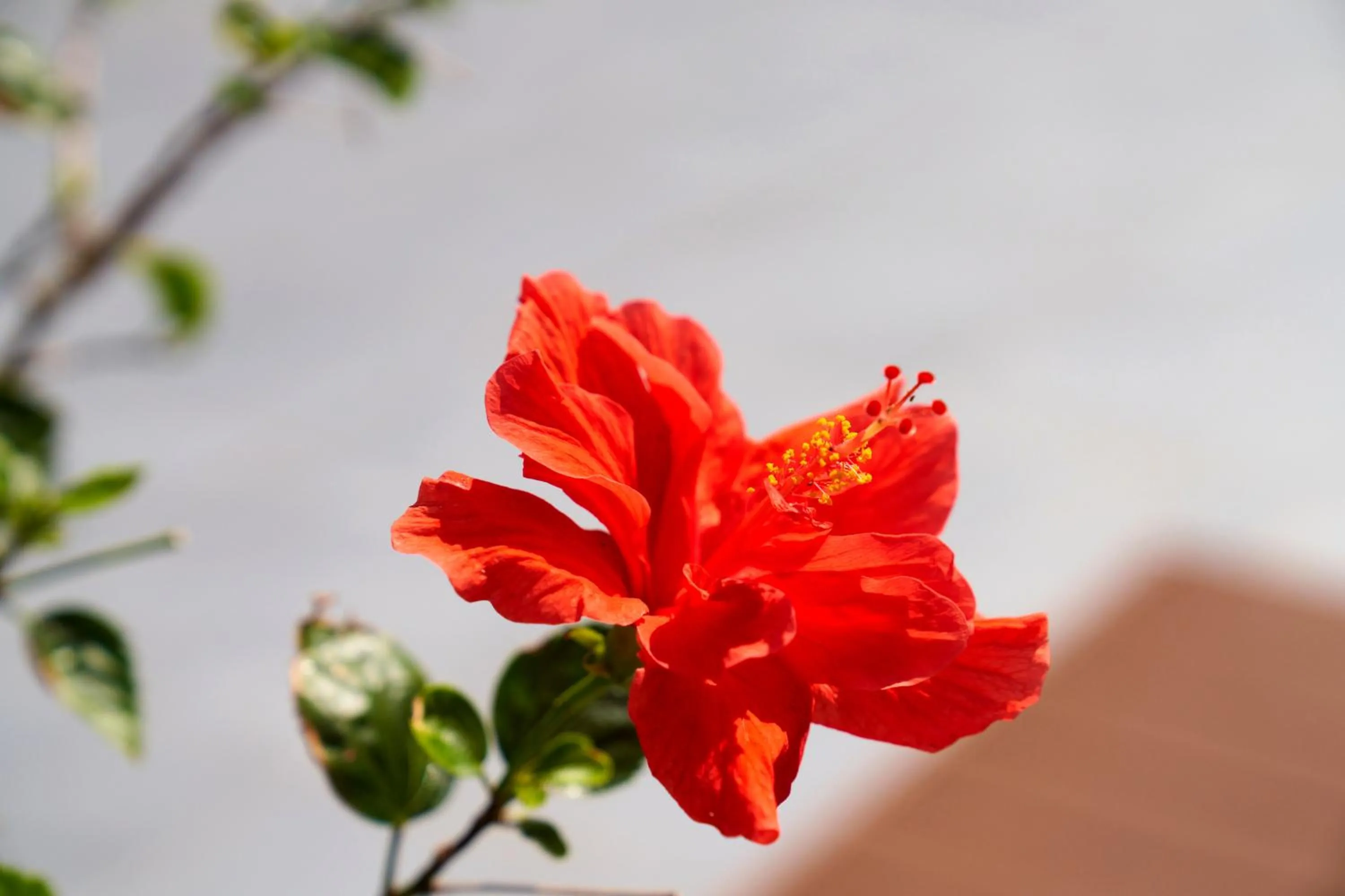 Area and facilities in Okinawa Prince Hotel Ocean View Ginowan