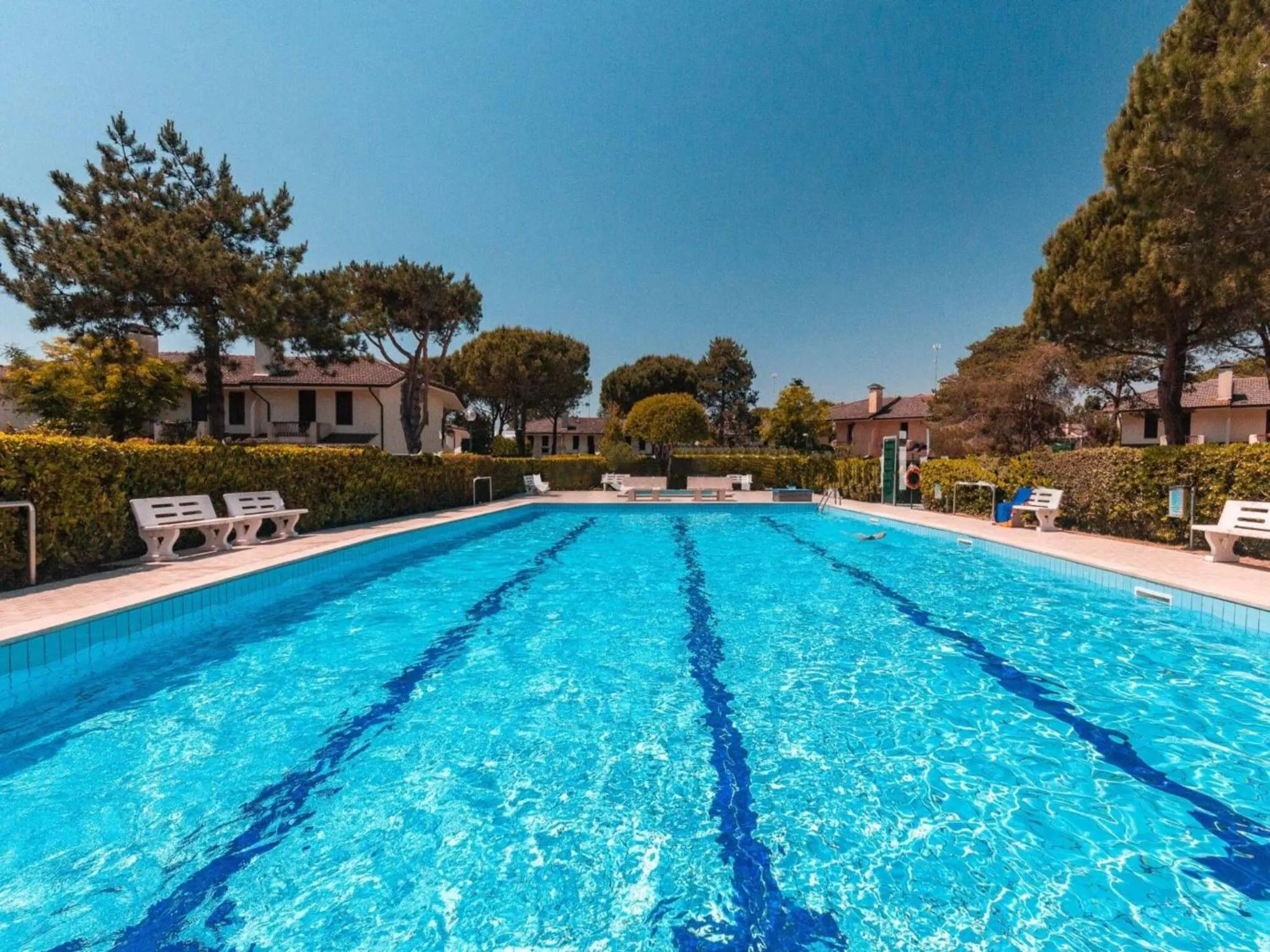 Swimming pool in Colorful house with pool and garden