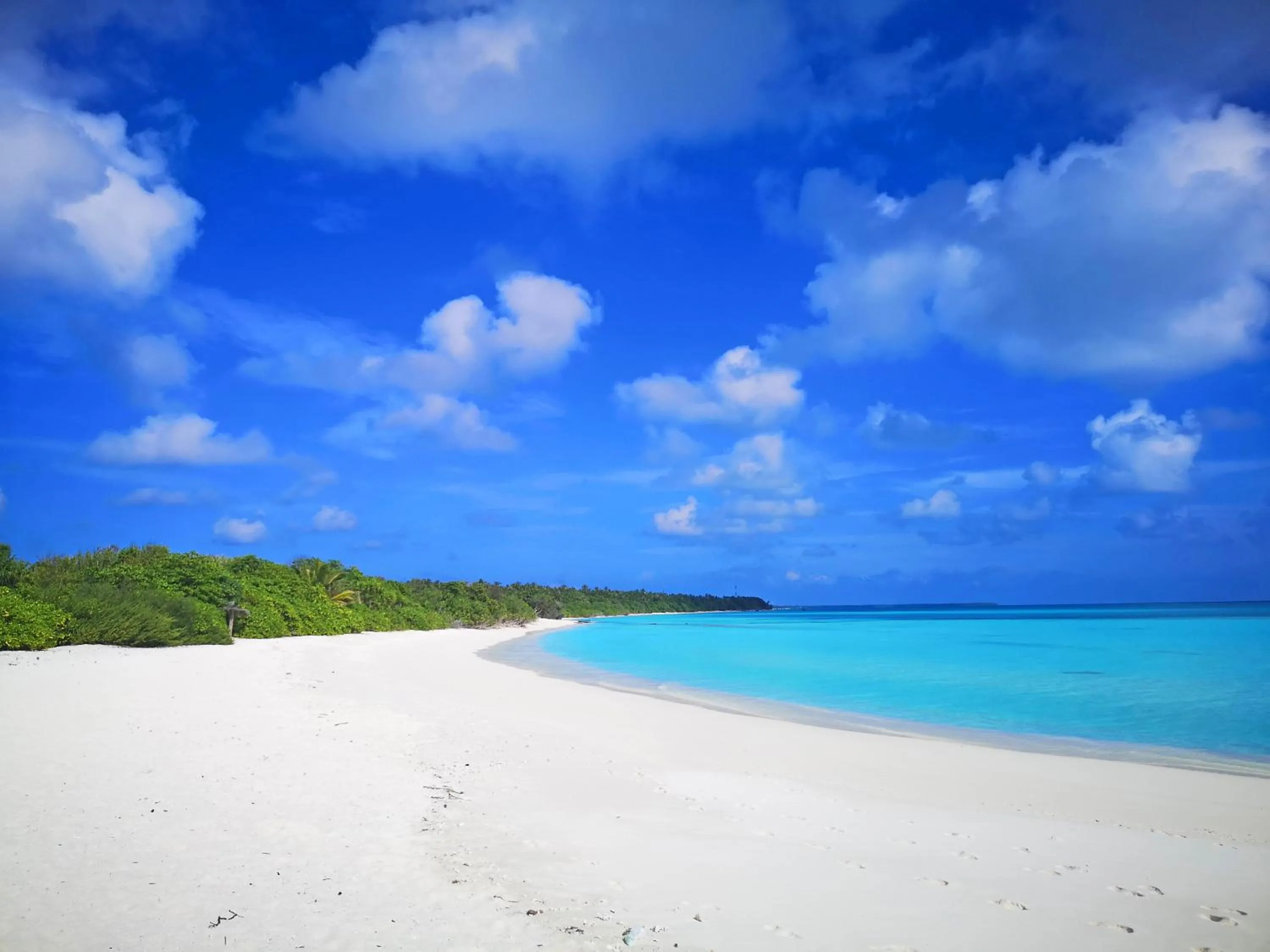 Natural landscape in Island Luxury Boutique Hotel - Fulhadhoo