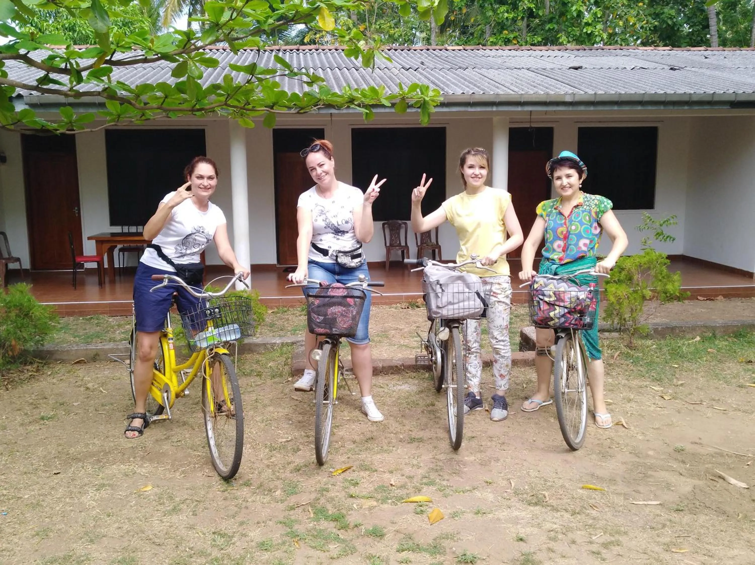 Day in Deer Garden Guest