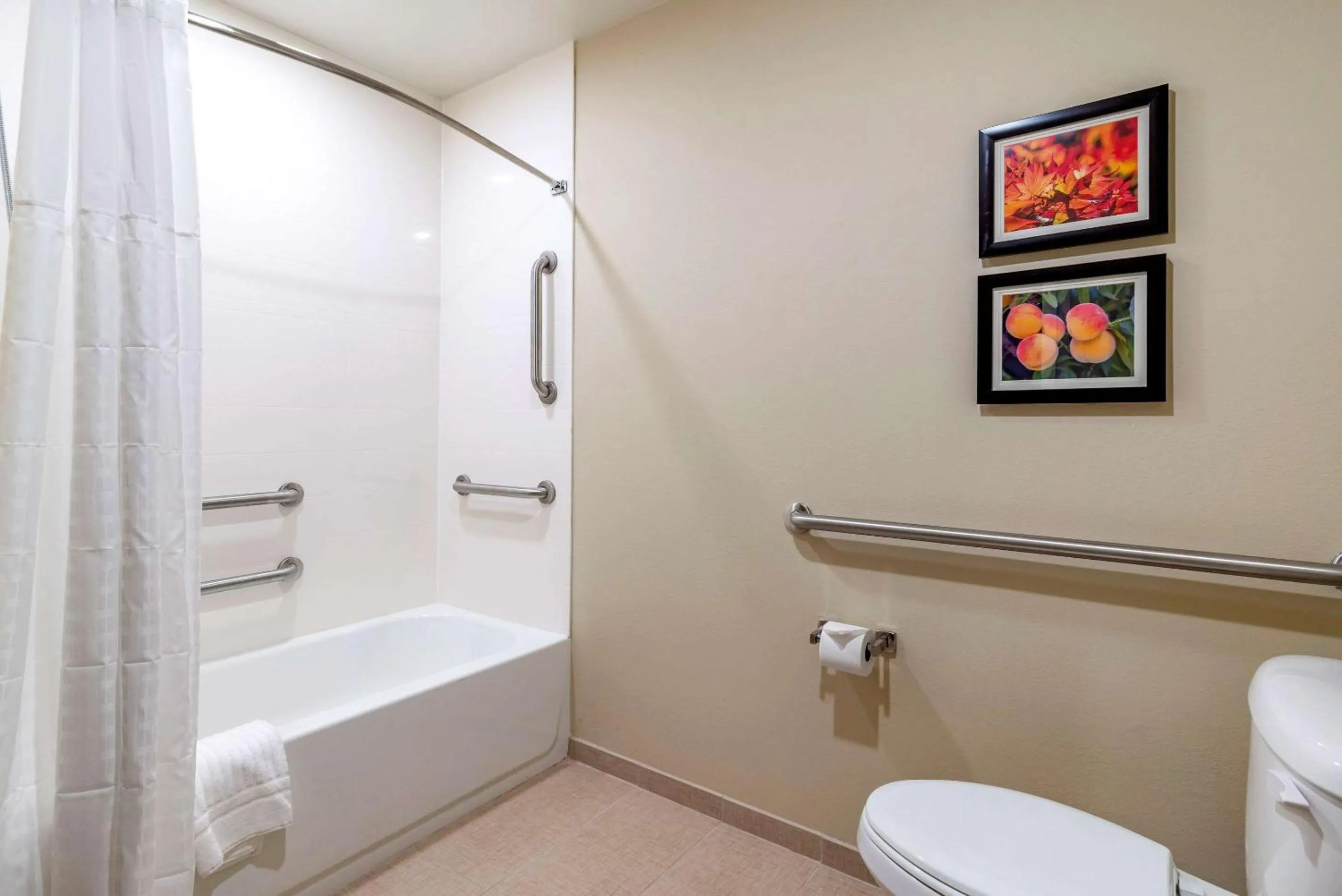 Photo of the whole room in Comfort Suites