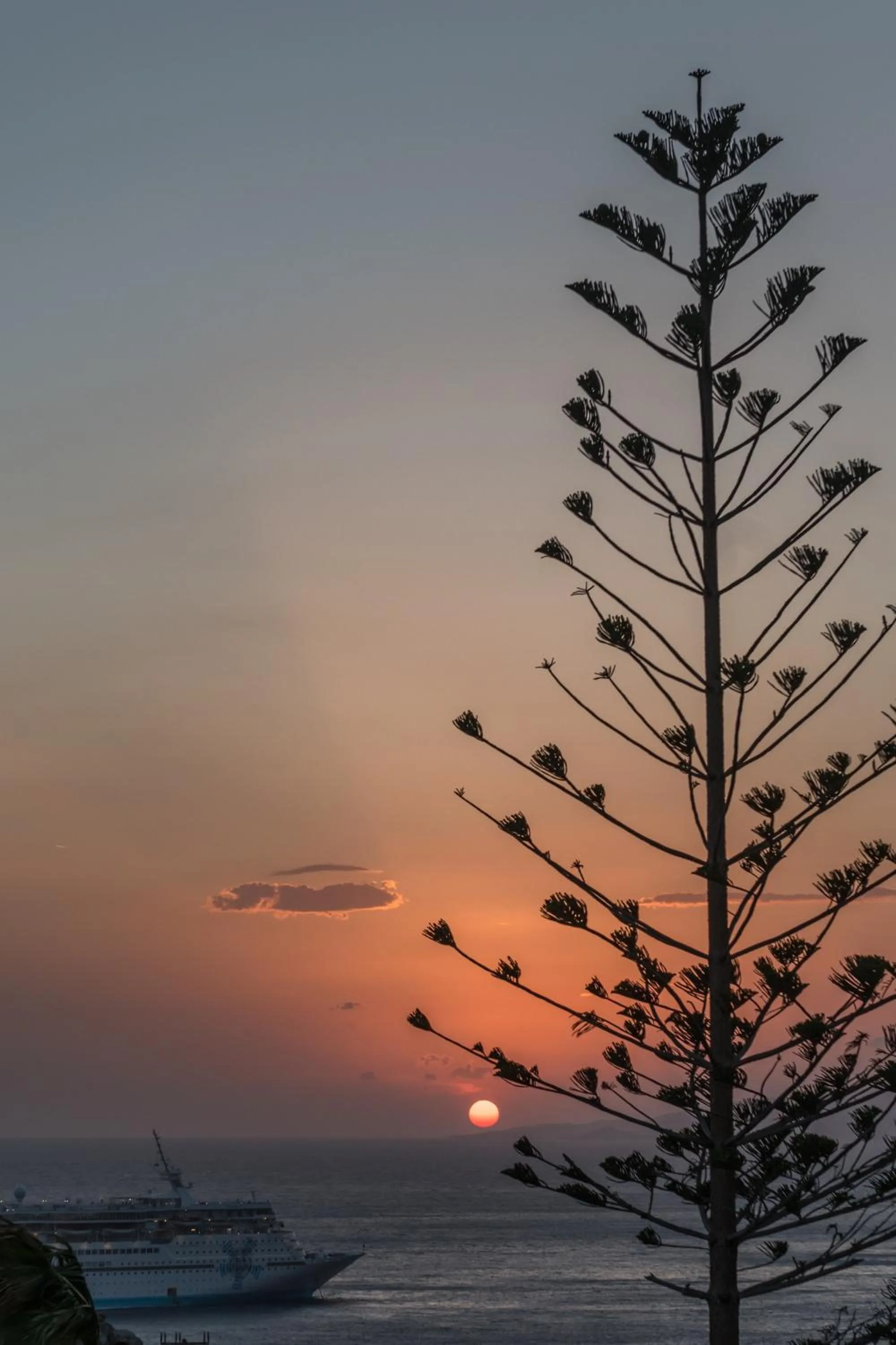 Natural landscape in Arocaria Mykonos