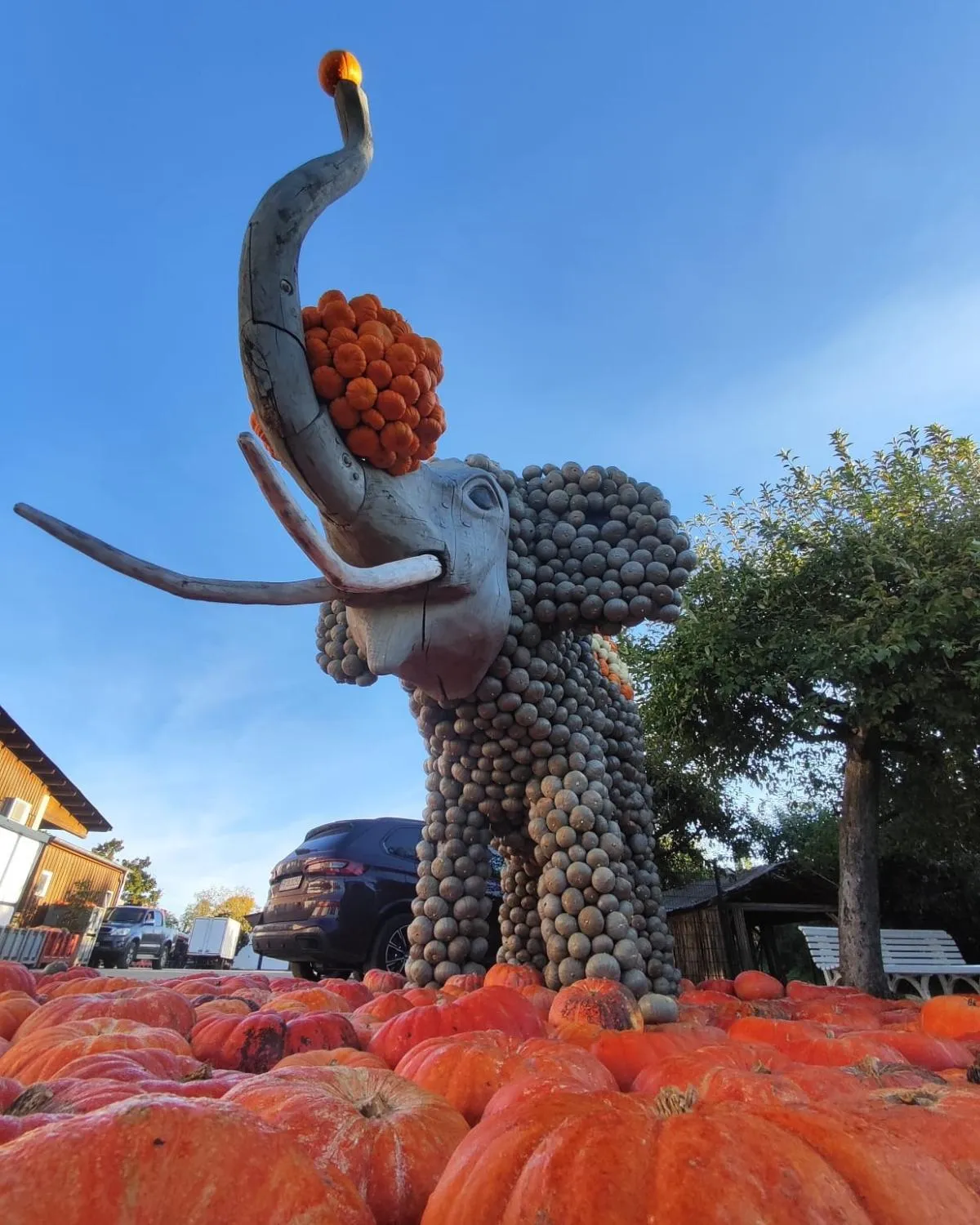 Area and facilities in Landhotel Bohrerhof