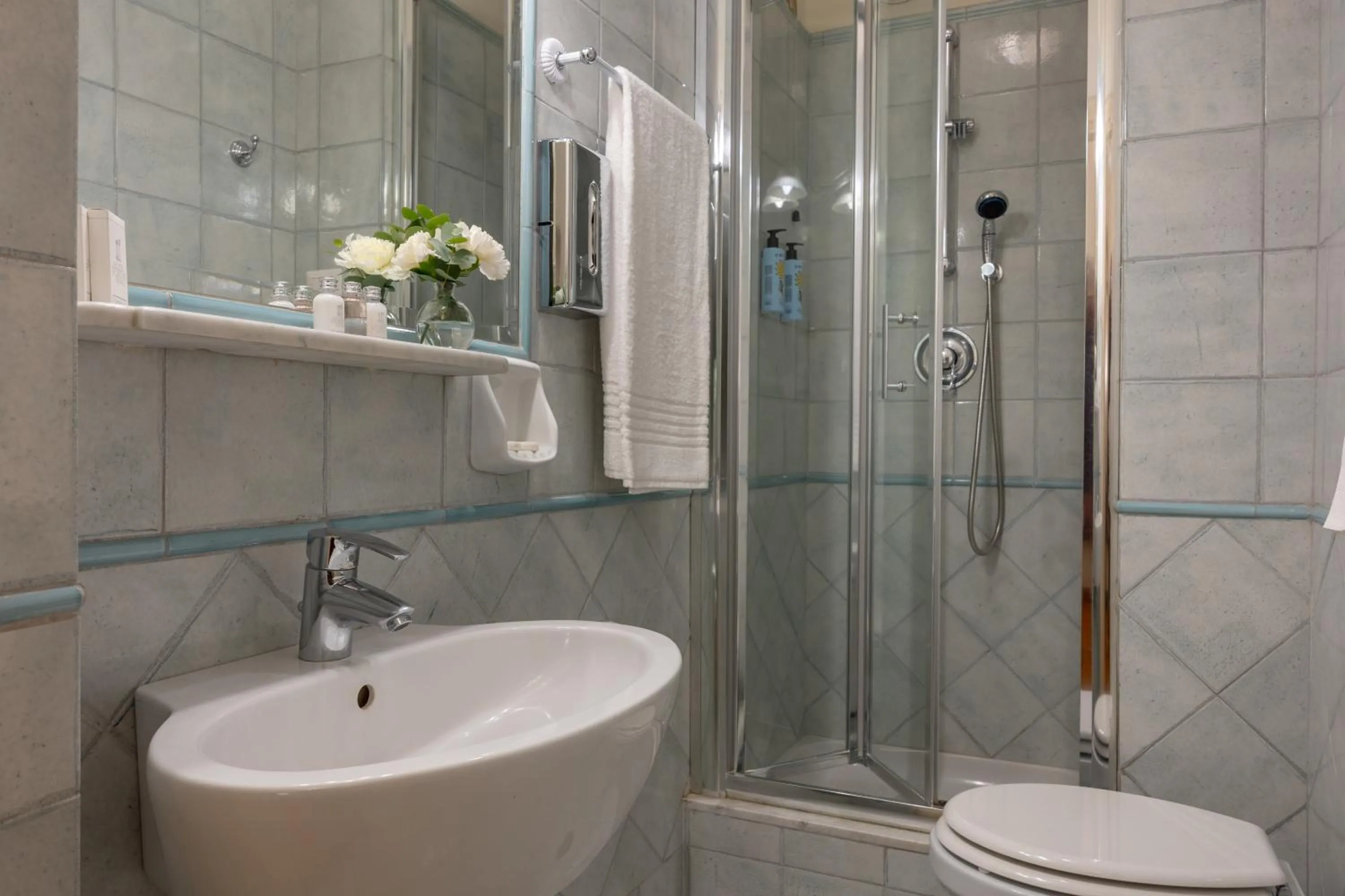 Toilet in Hotel Forum