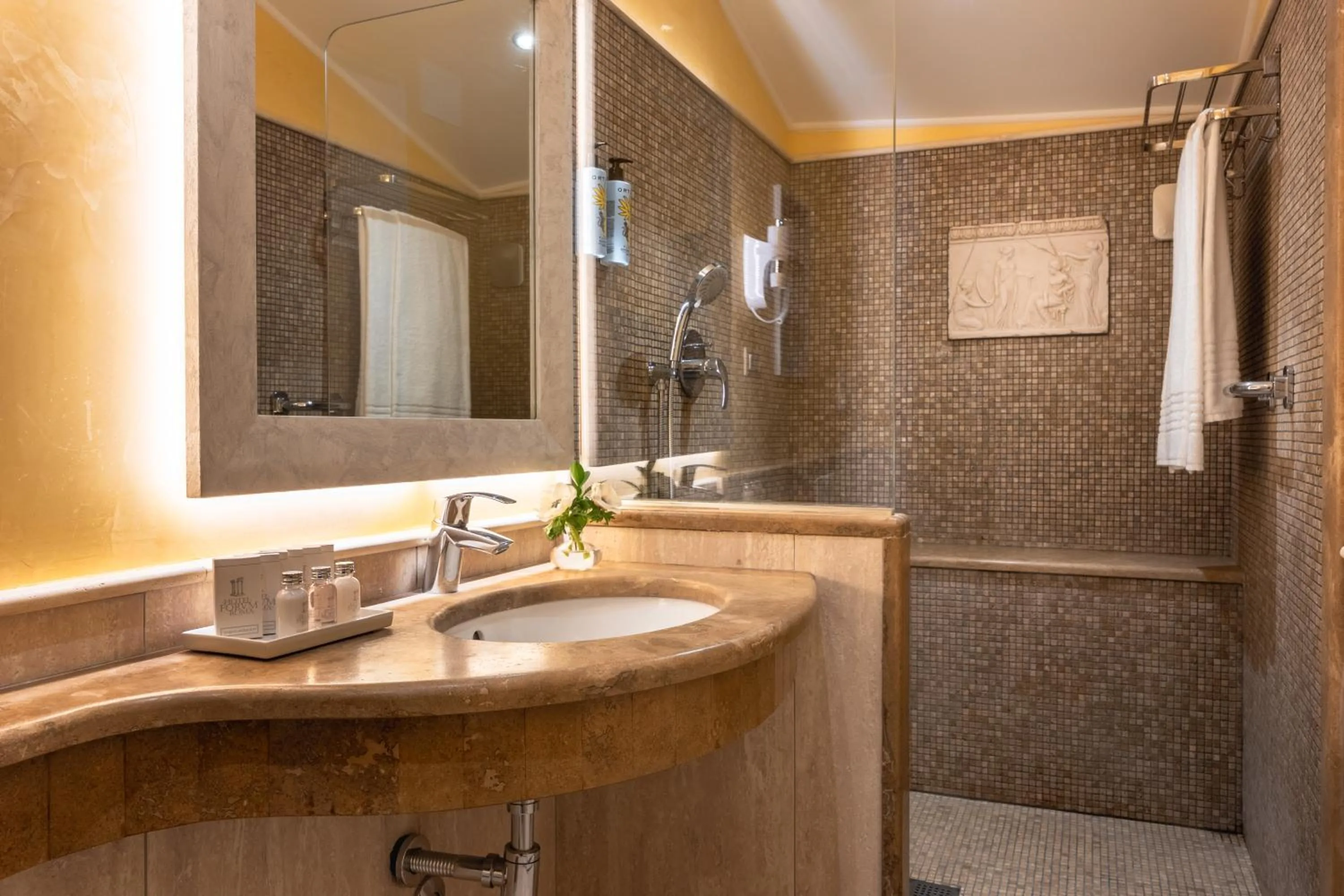 Shower in Hotel Forum