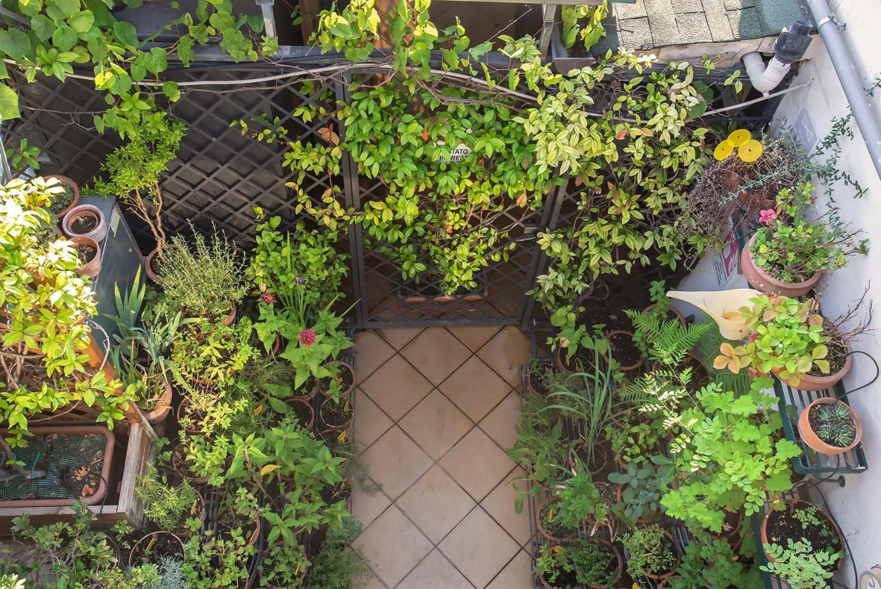 Balcony/Terrace in Hotel Isa