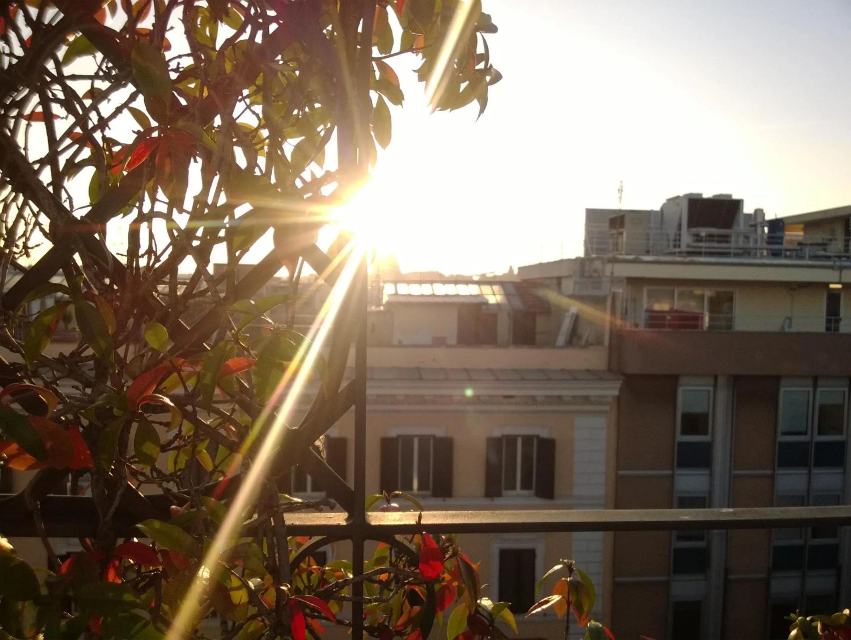 Street view in Hotel Isa