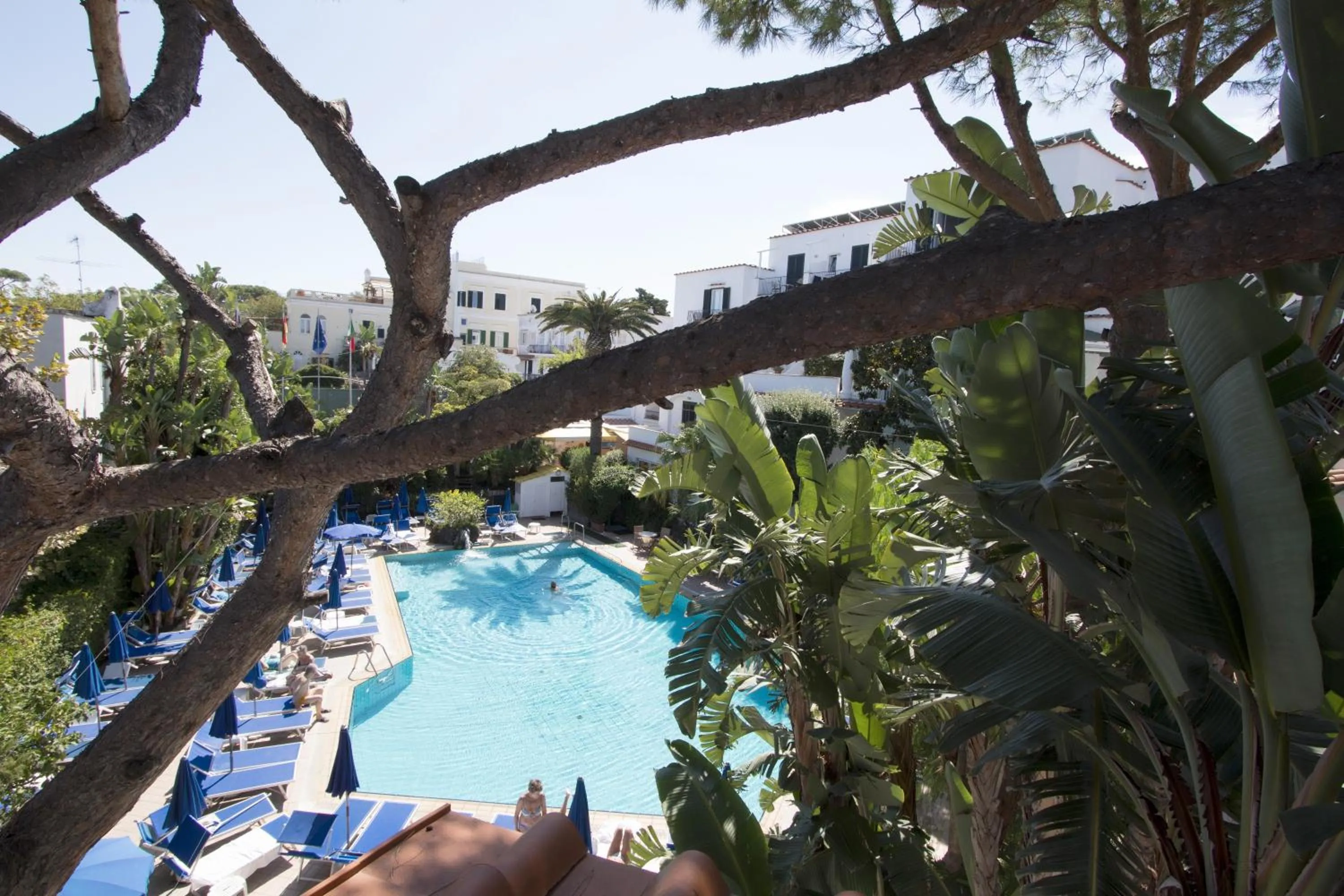 Pool view in Hotel Floridiana Terme