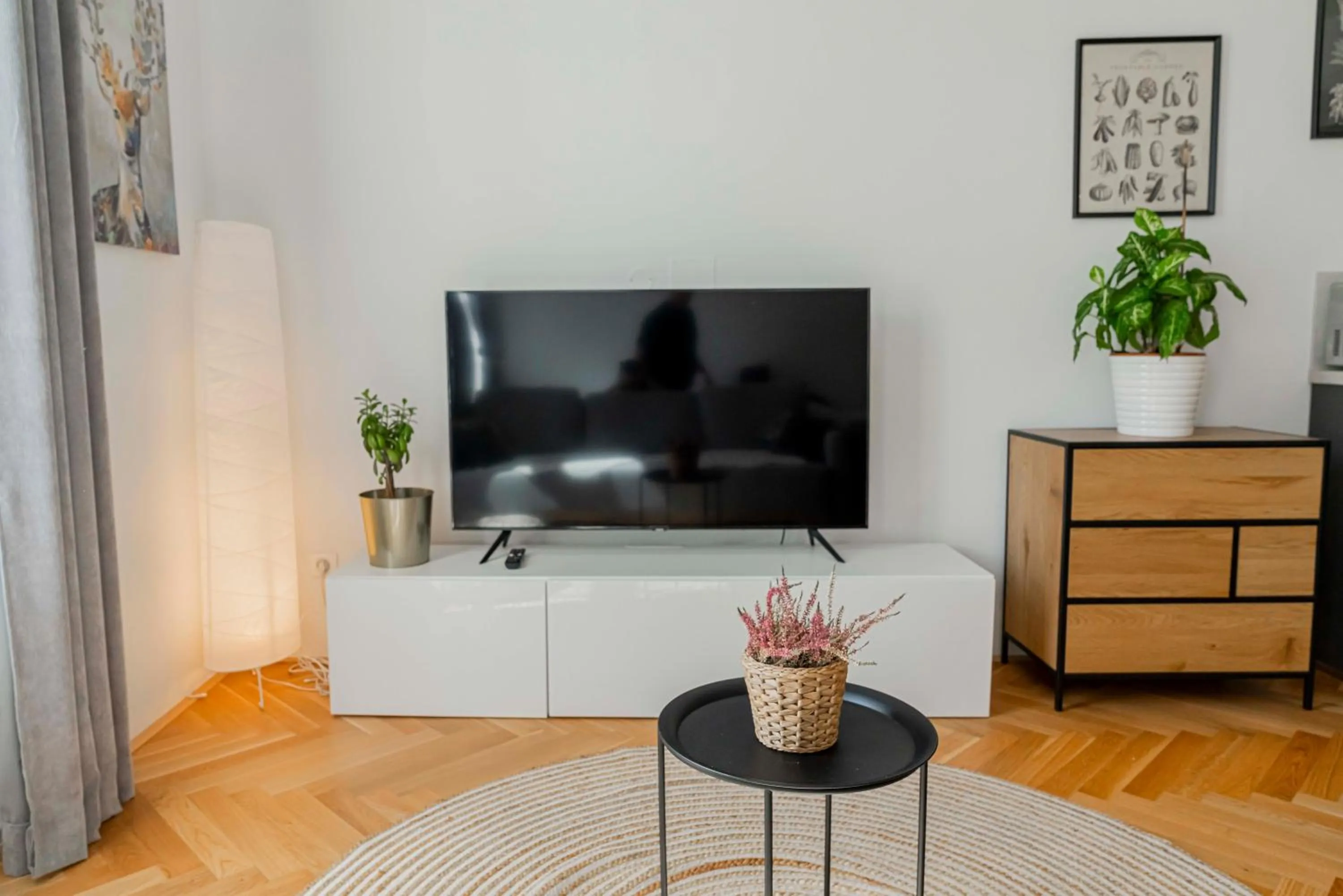 TV and multimedia in Apartmány Marienhof