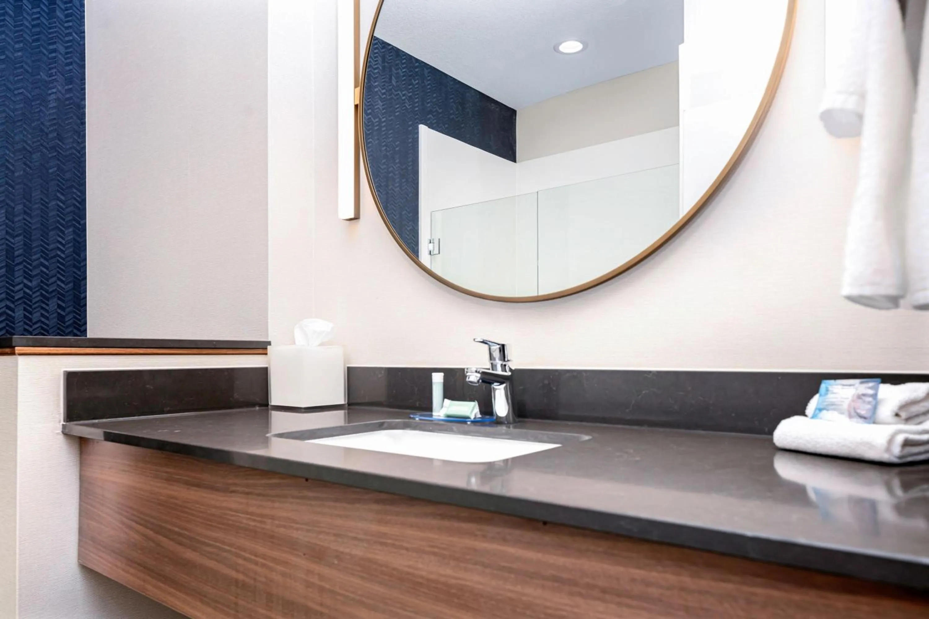 Bathroom in Fairfield Inn & Suites by Marriott Corinth South Denton Area