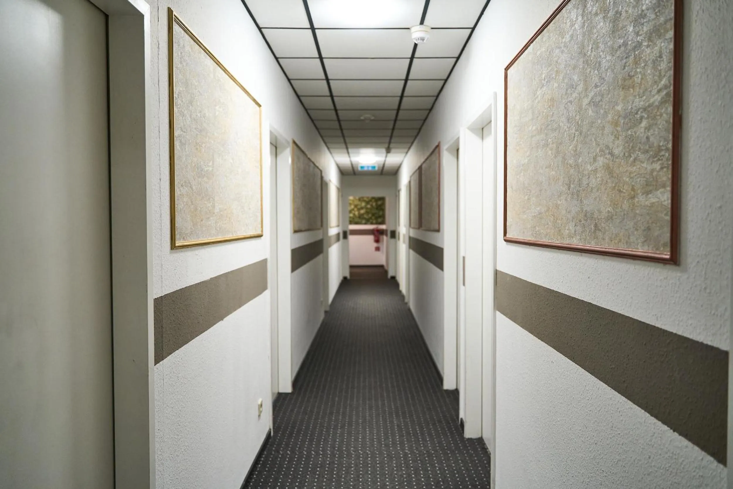 Property building in Hotel Maximo