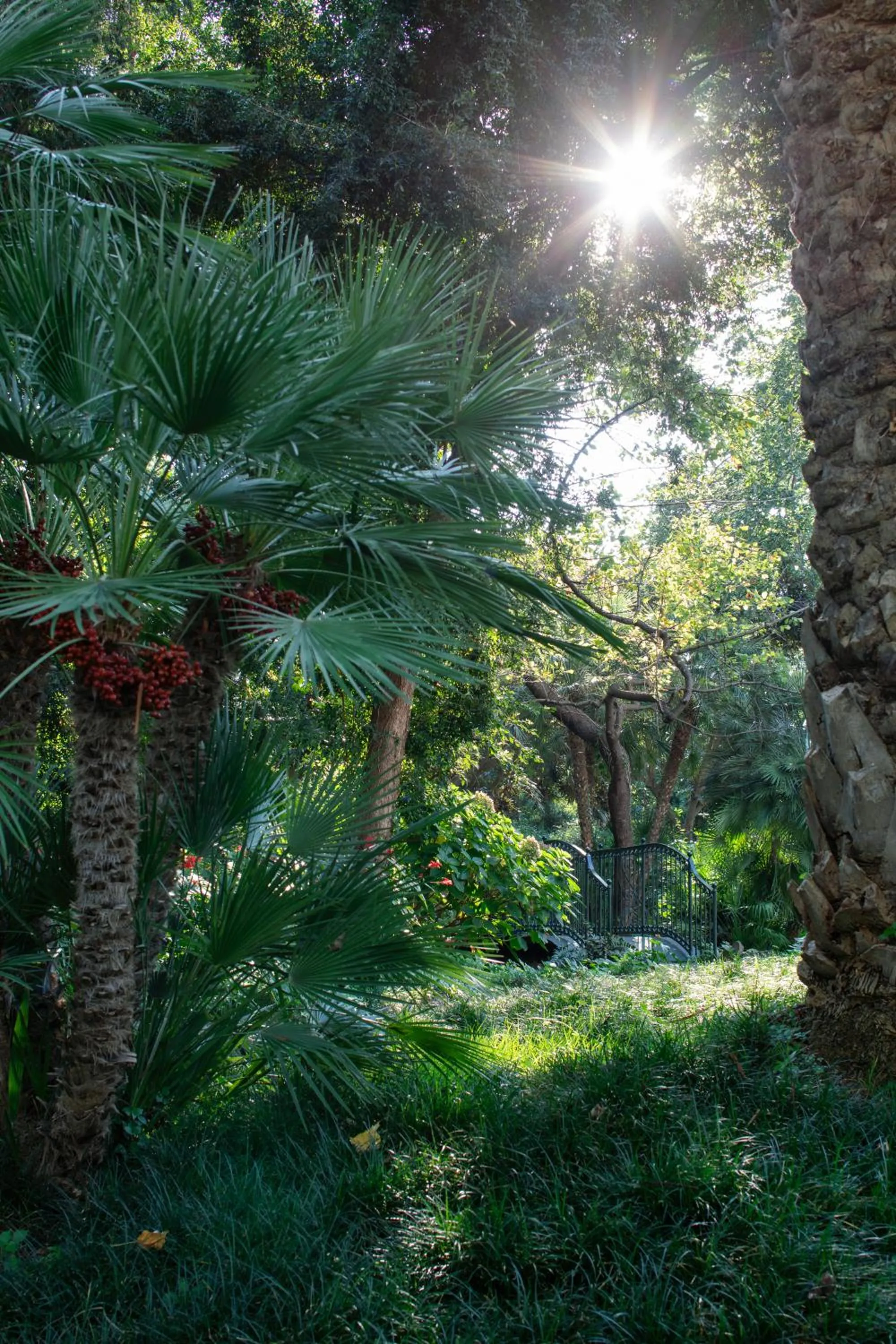 Natural landscape in Parco dei Principi