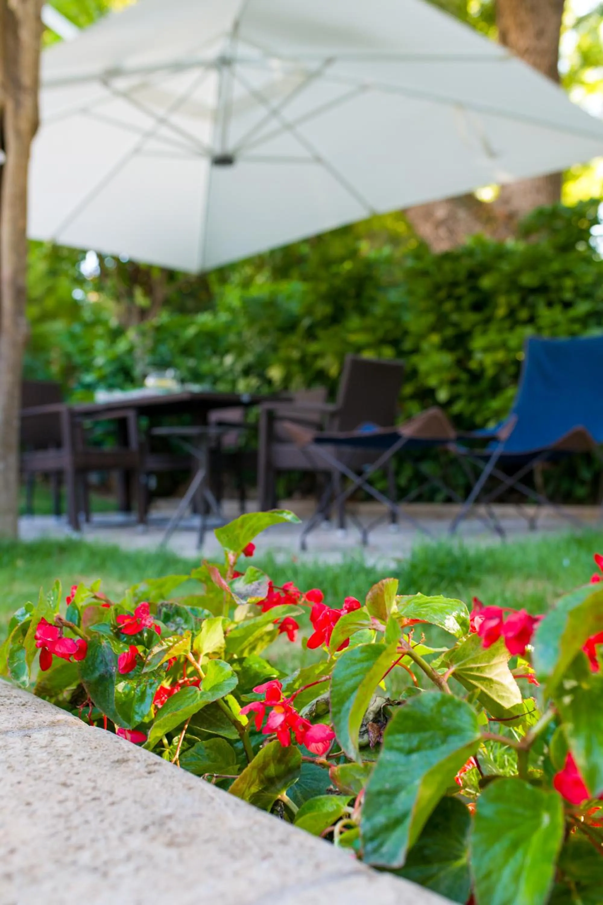 Garden in Parco dei Principi