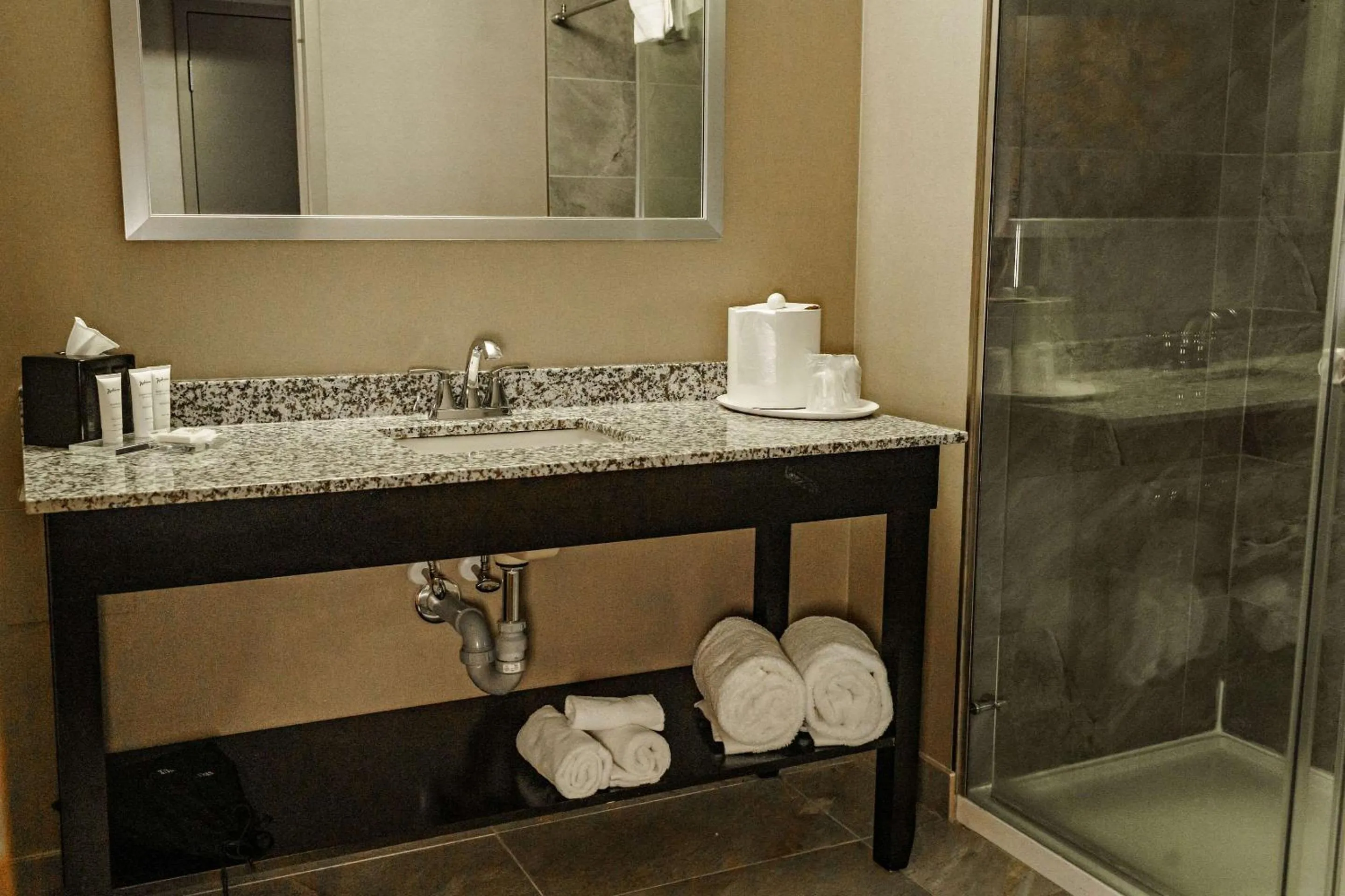 Bedroom in Radisson Hotel Edmonton Airport