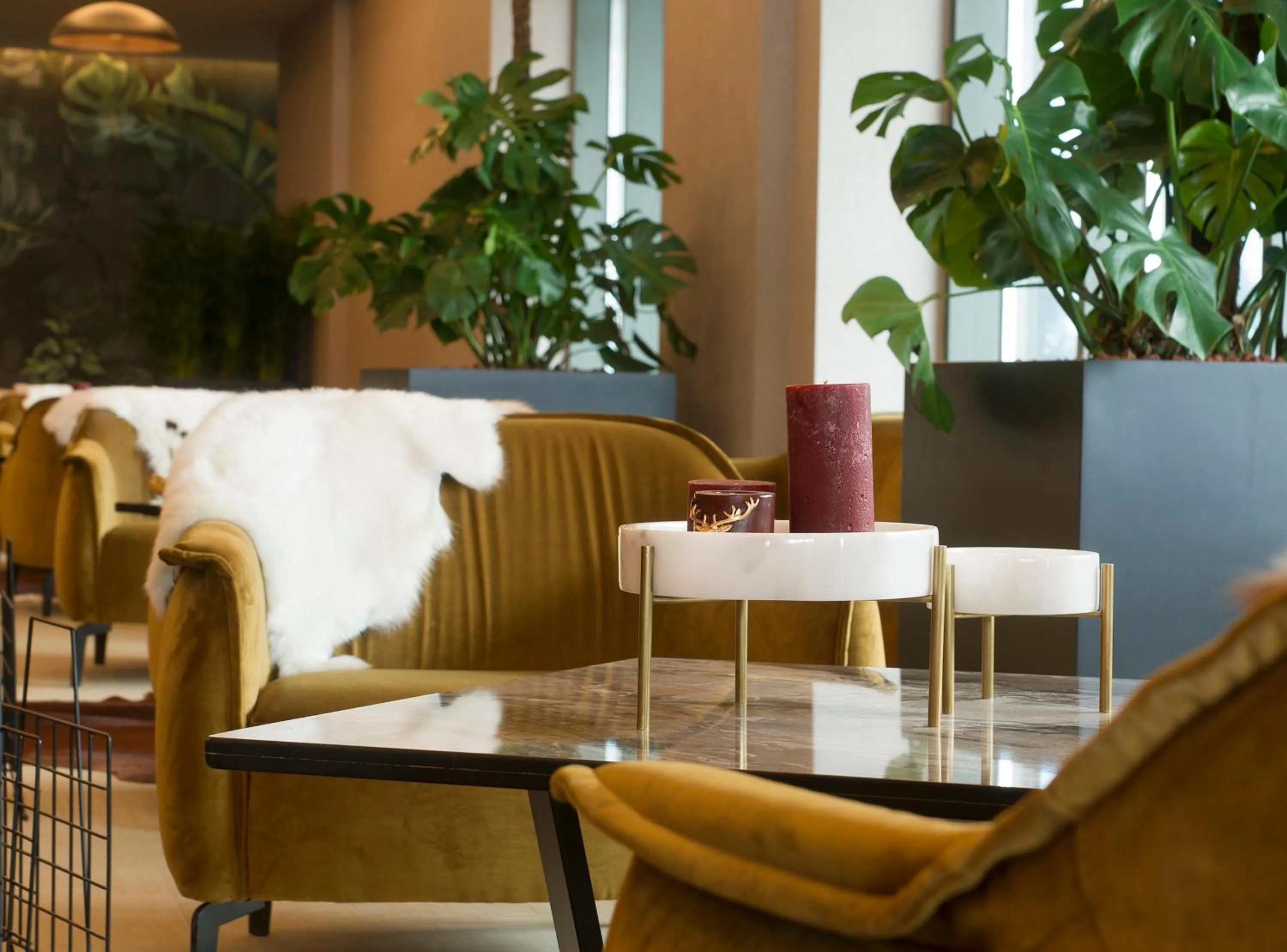 Restaurant/places to eat in Radisson Blu Hotel, Mount Erciyes