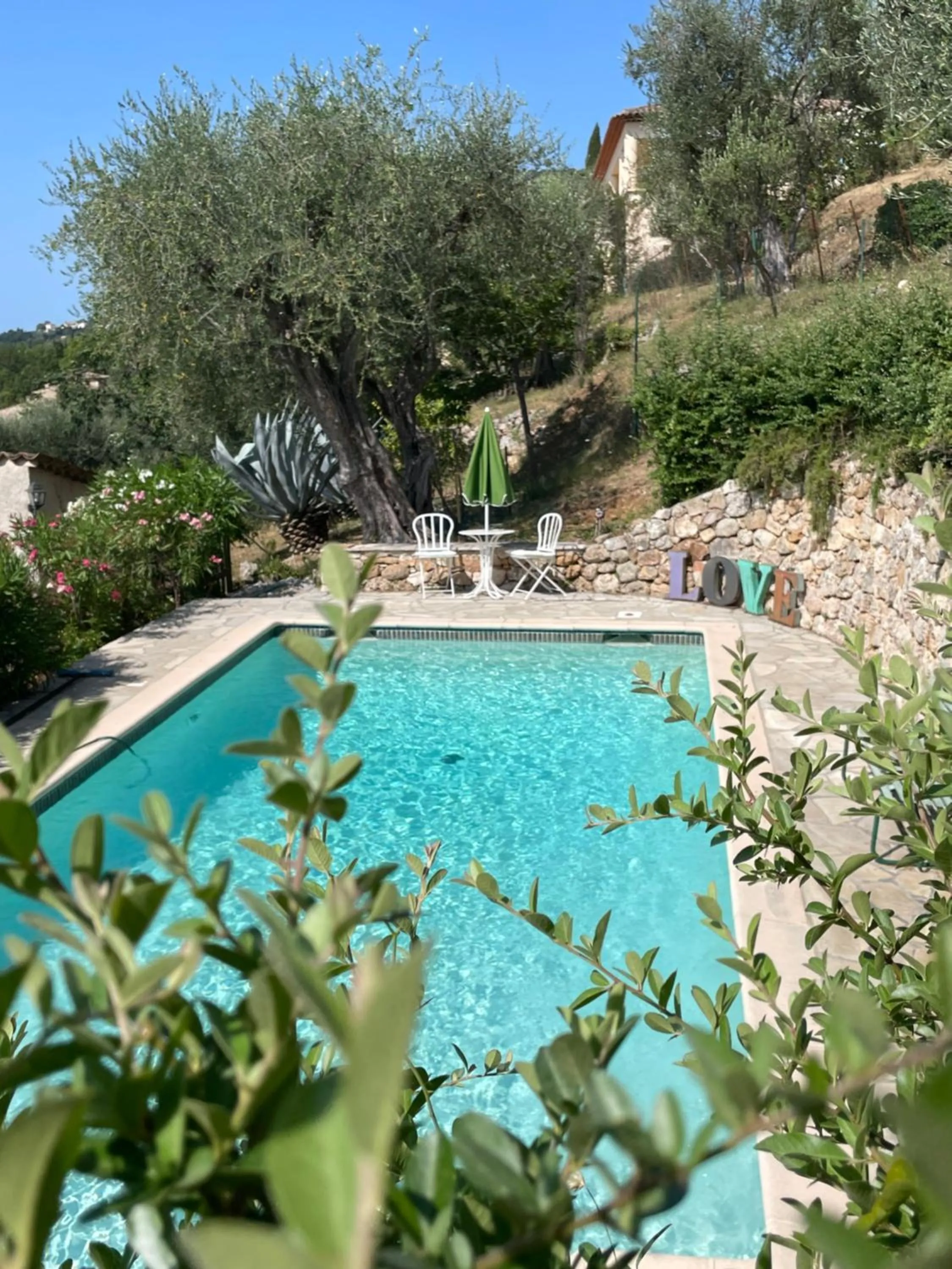 Swimming pool in Villa Daphné