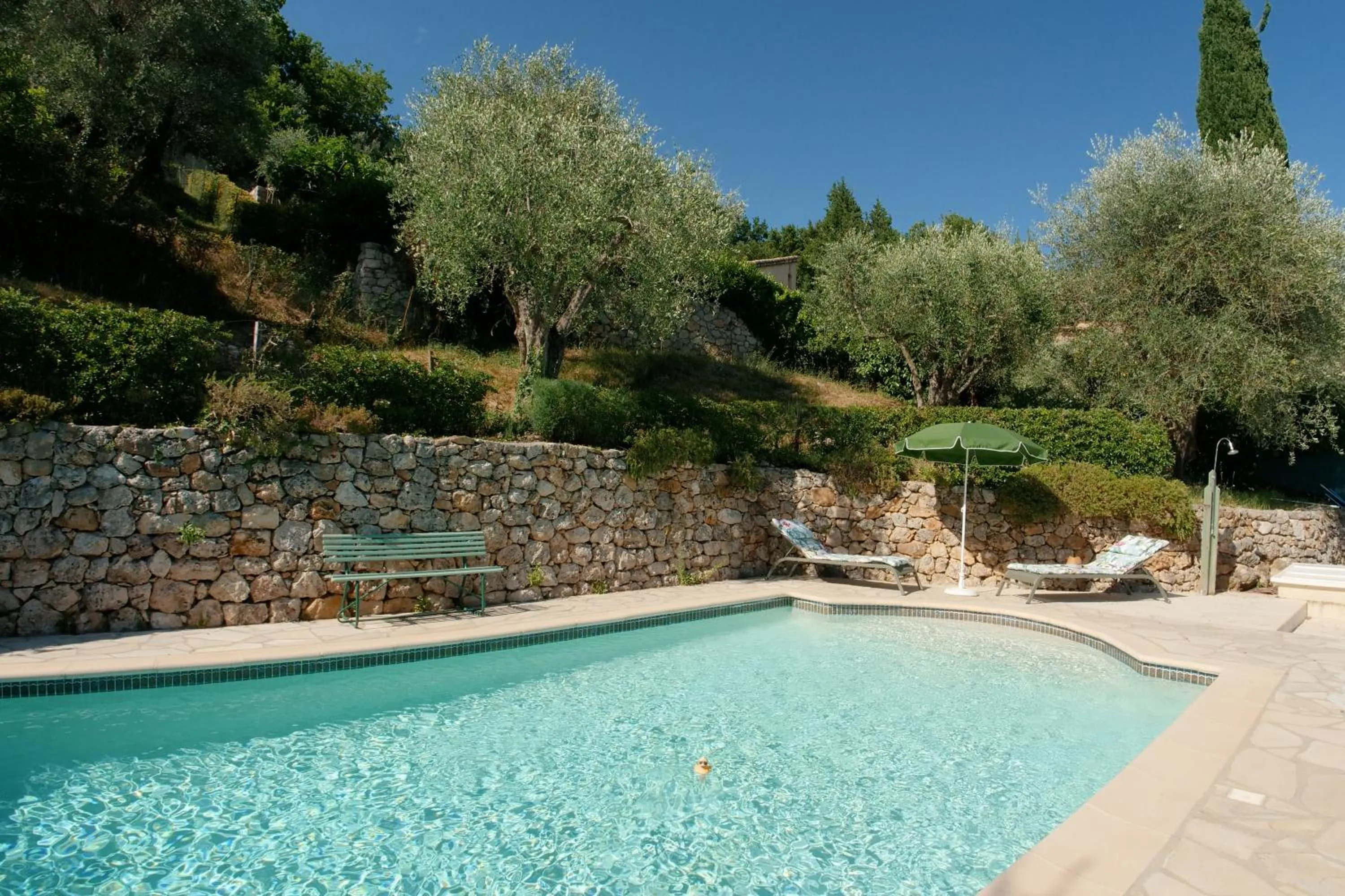 Pool view in Villa Daphné