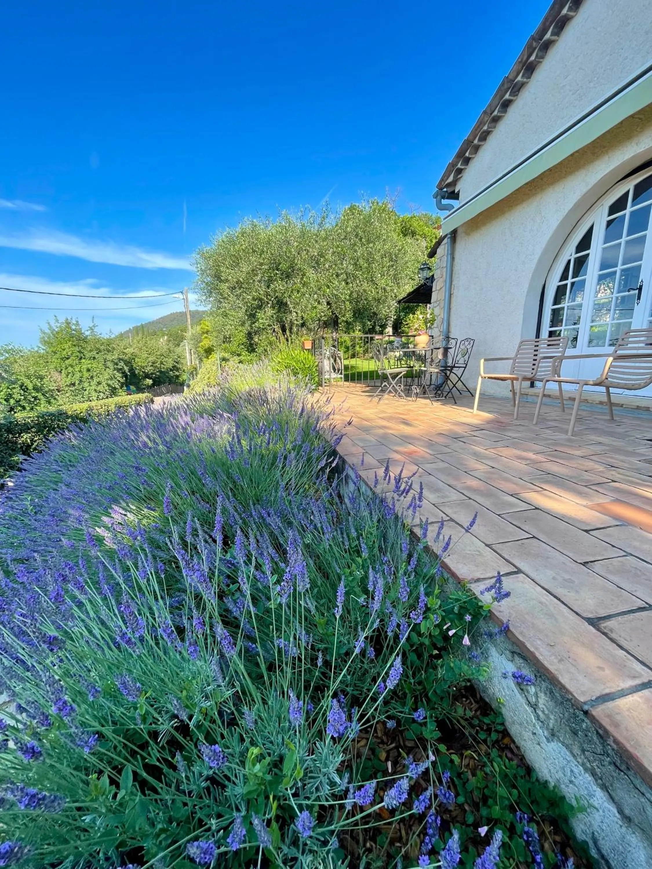 Garden in Villa Daphné