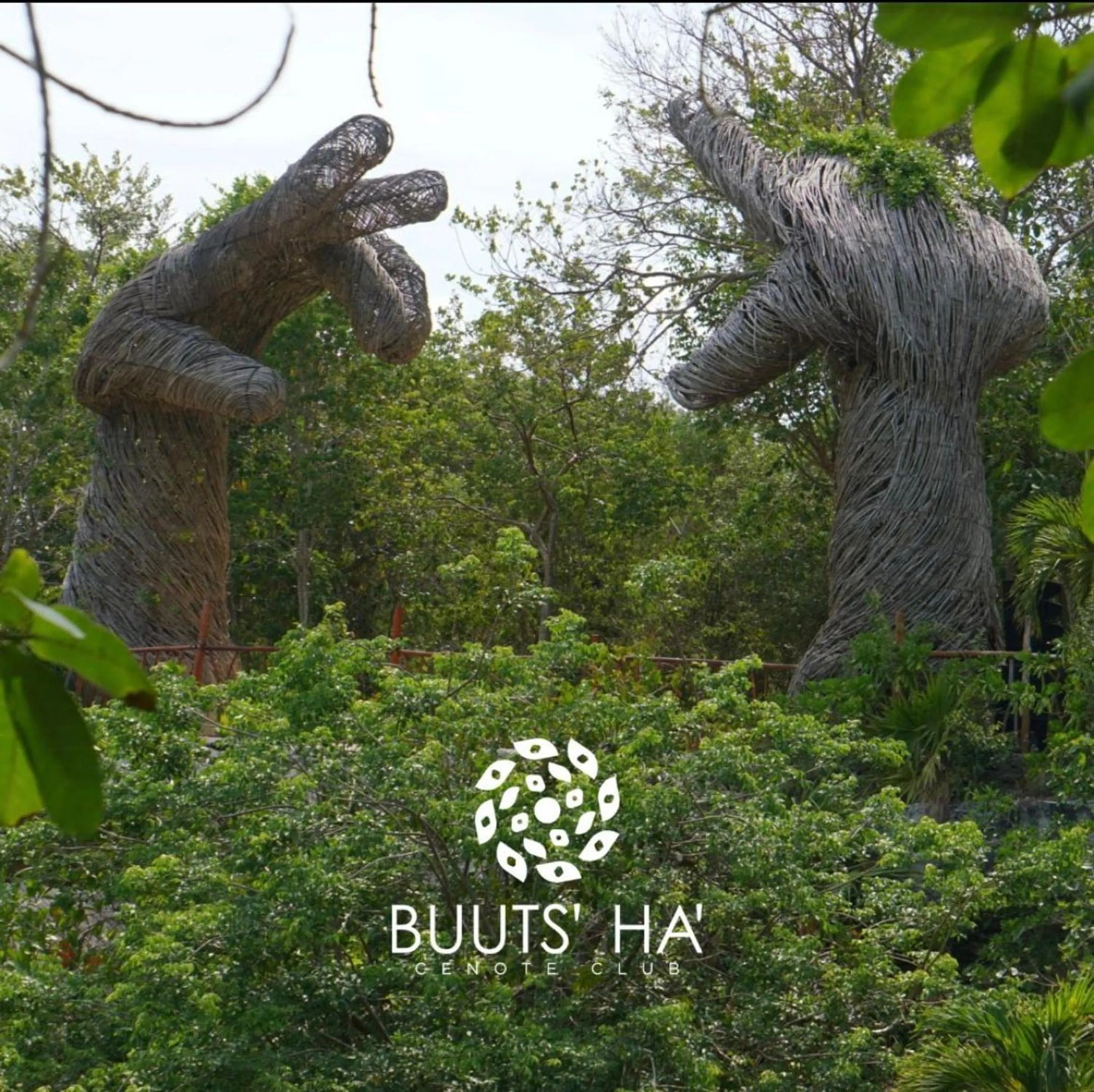 Restaurant/places to eat in Seremonia Studios by Soyrumi