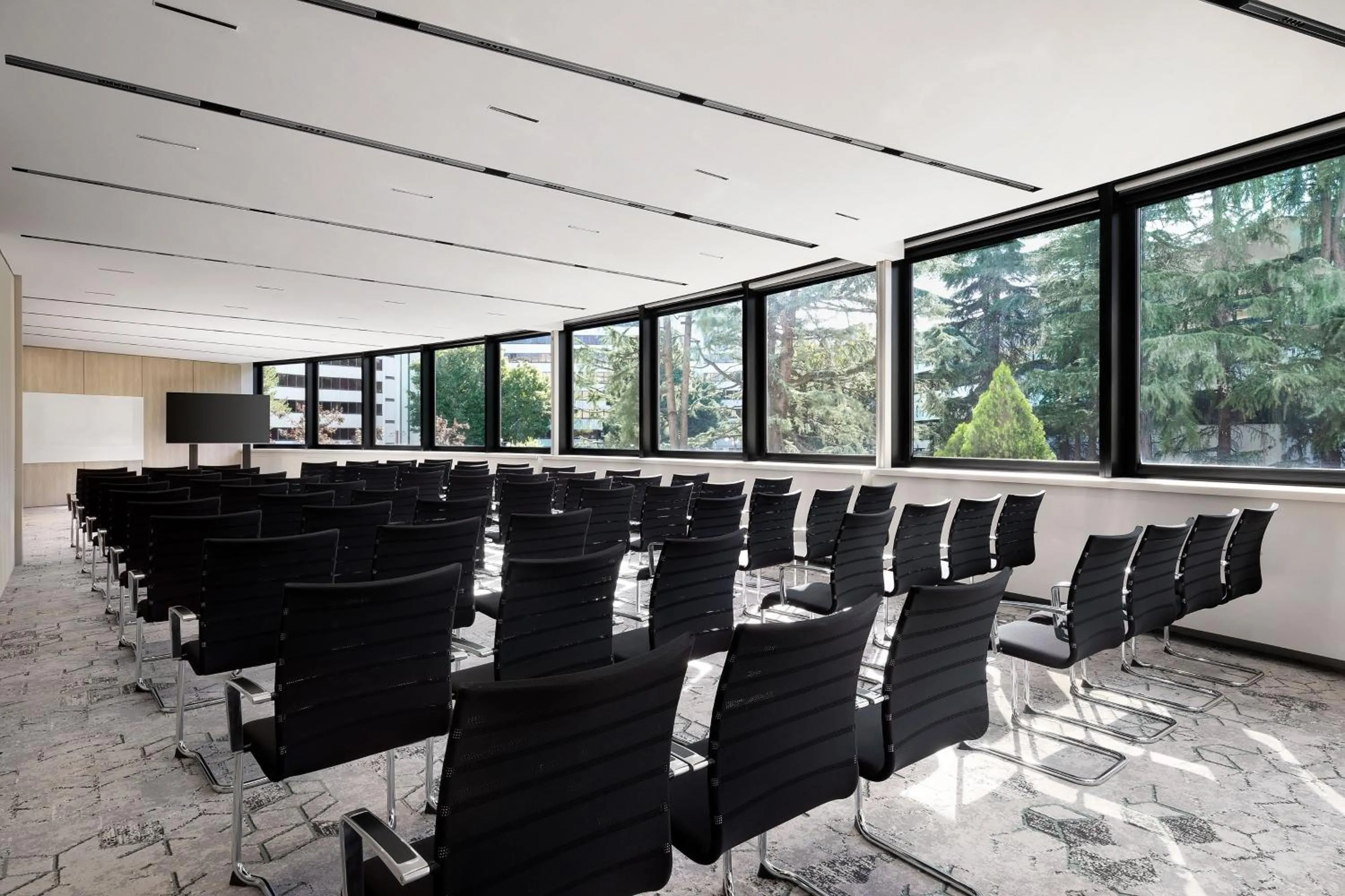 Entertainment in Sheraton Milan San Siro