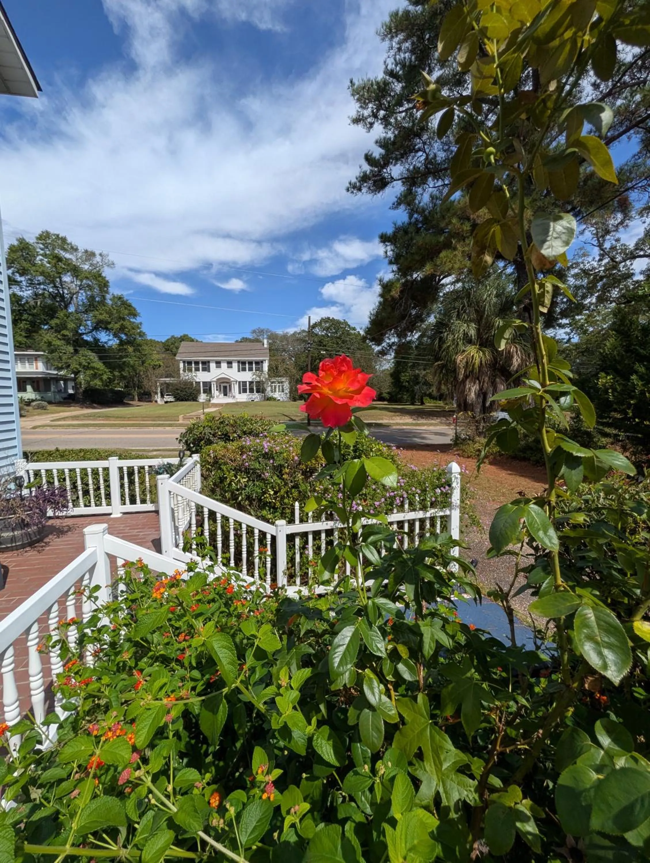 Property building in Cozy, Cute, Private Ozark Suite 5 Mins to Hospital