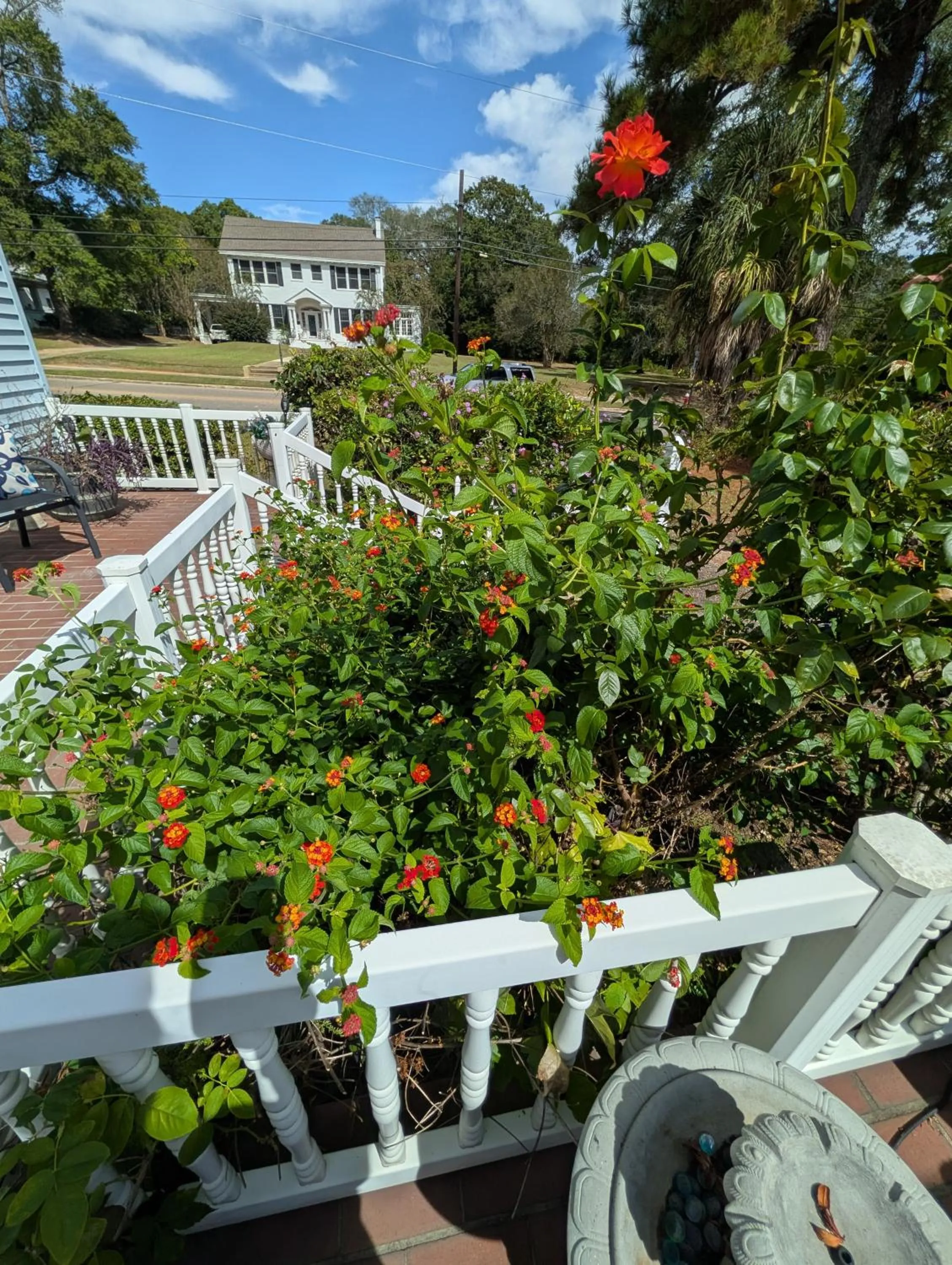 Property building in Cozy, Cute, Private Ozark Suite 5 Mins to Hospital