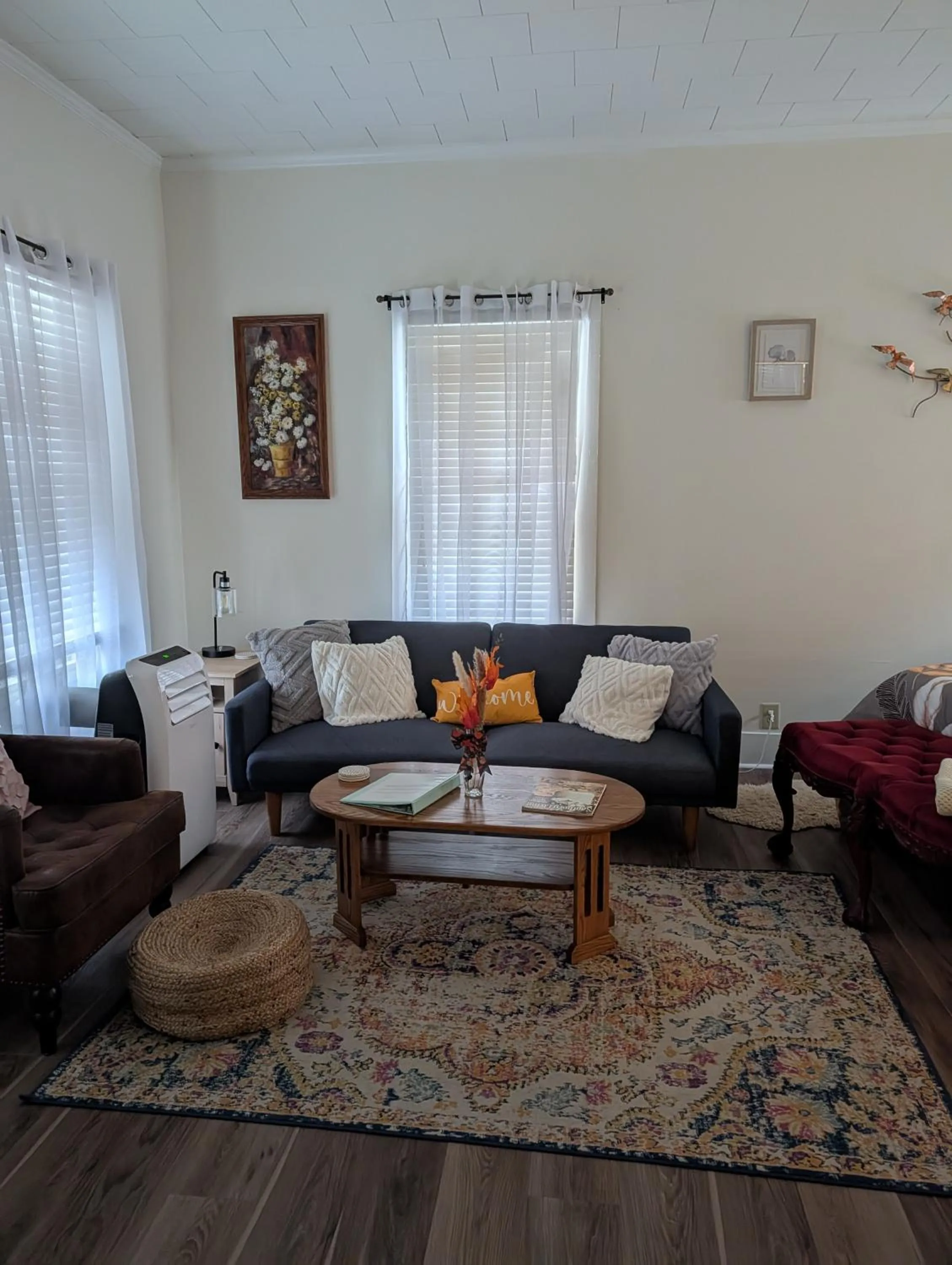 Living room in Cozy, Cute, Private Ozark Suite 5 Mins to Hospital