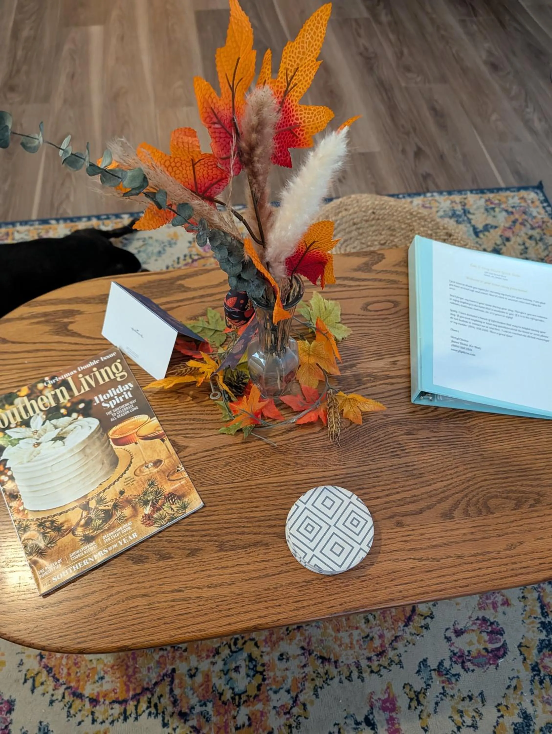 Living room in Cozy, Cute, Private Ozark Suite 5 Mins to Hospital