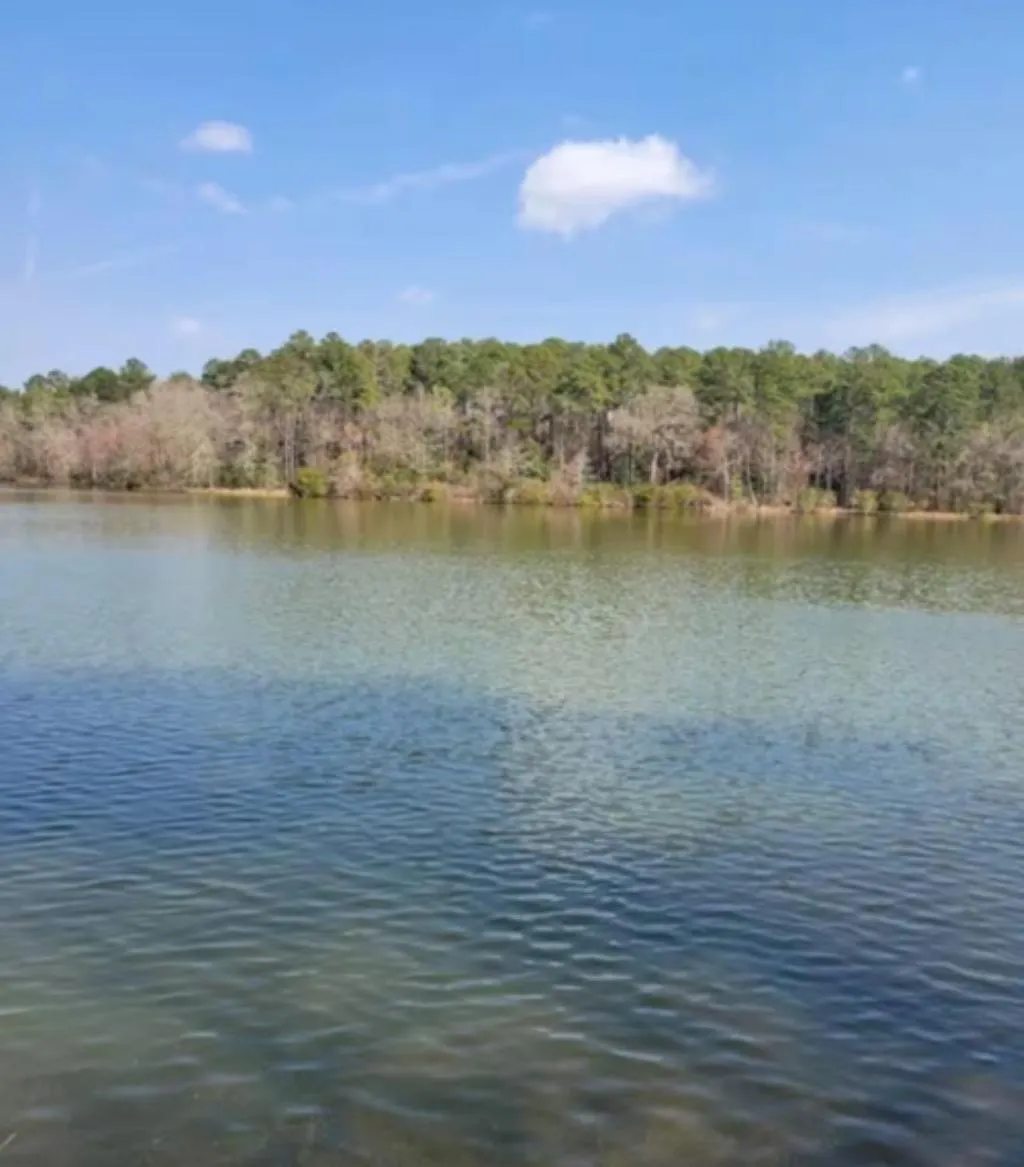 Fishing in Cozy, Cute, Private Ozark Suite 5 Mins to Hospital