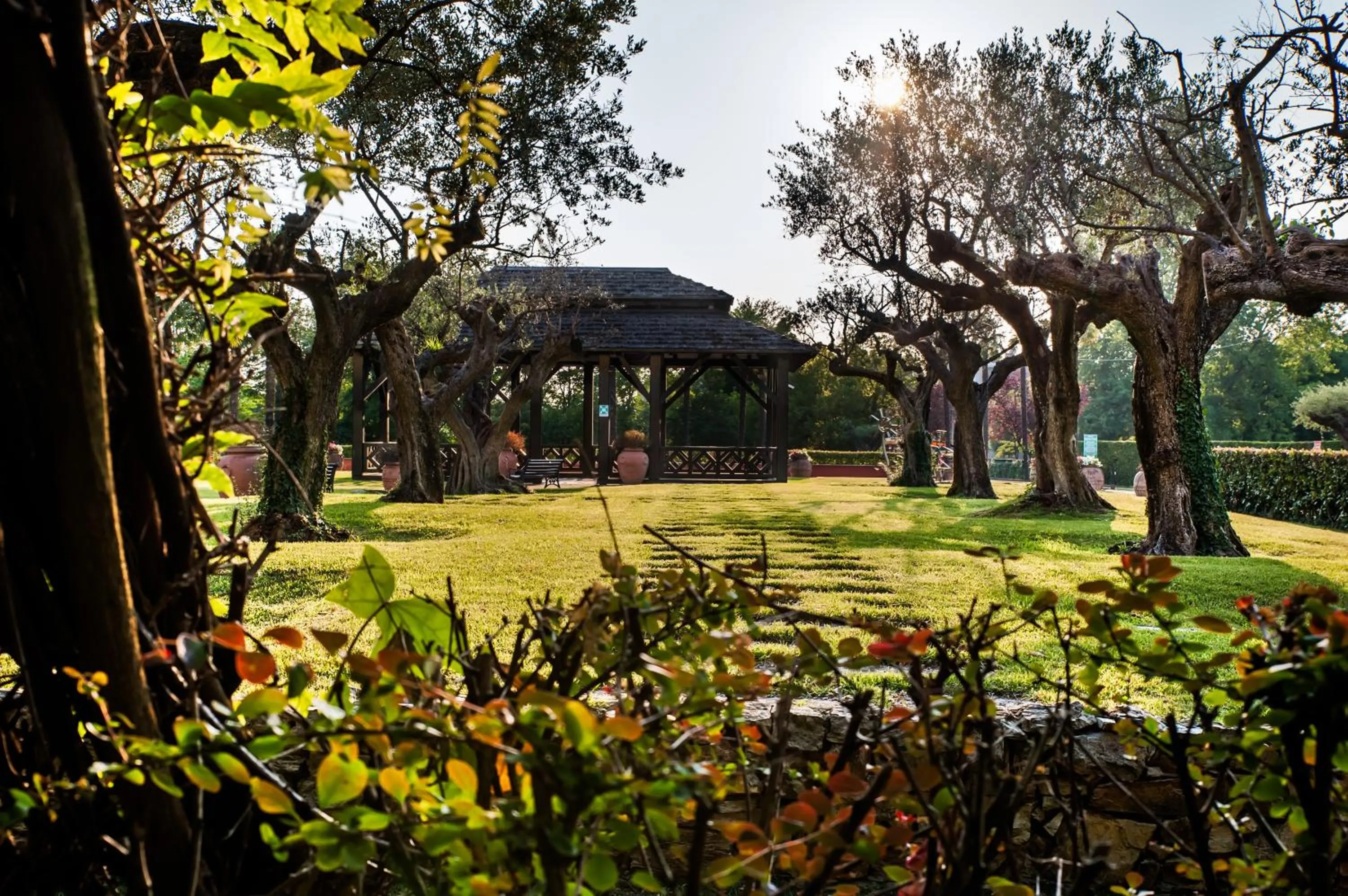 Garden in Royal Garden Assago Milano