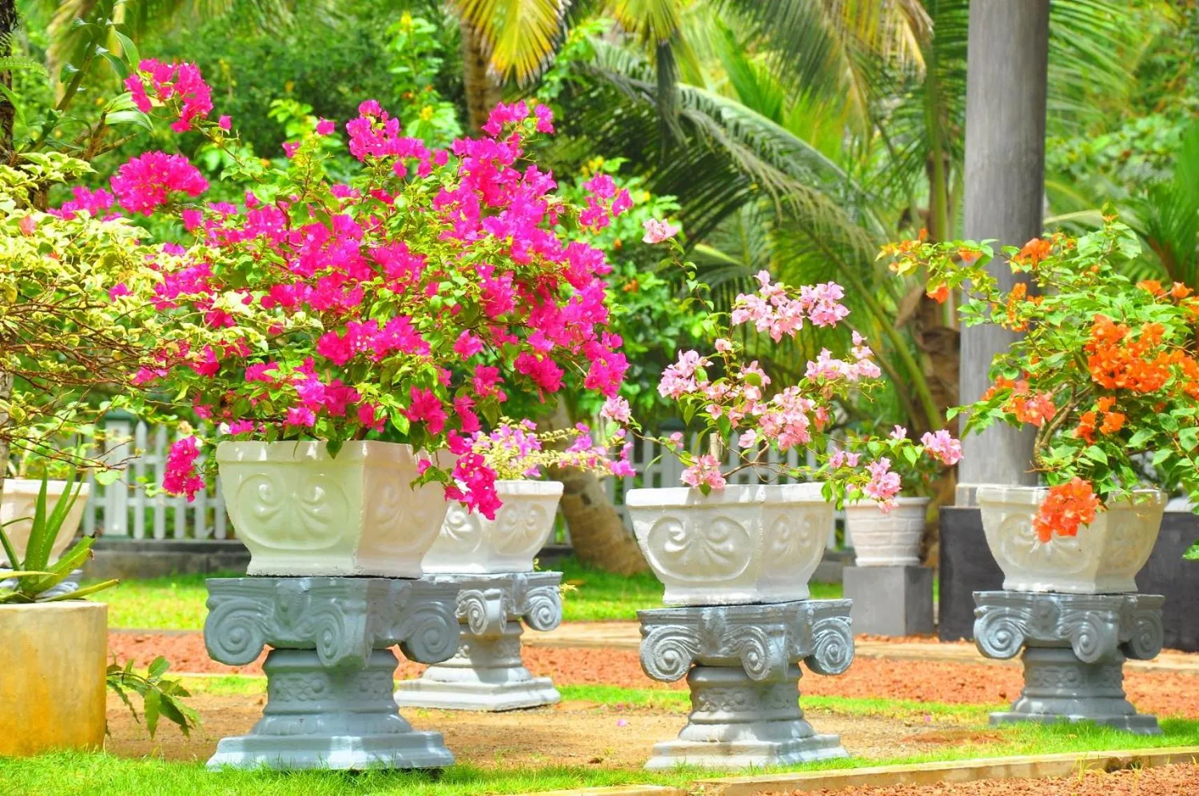 Garden view in Canal Villa