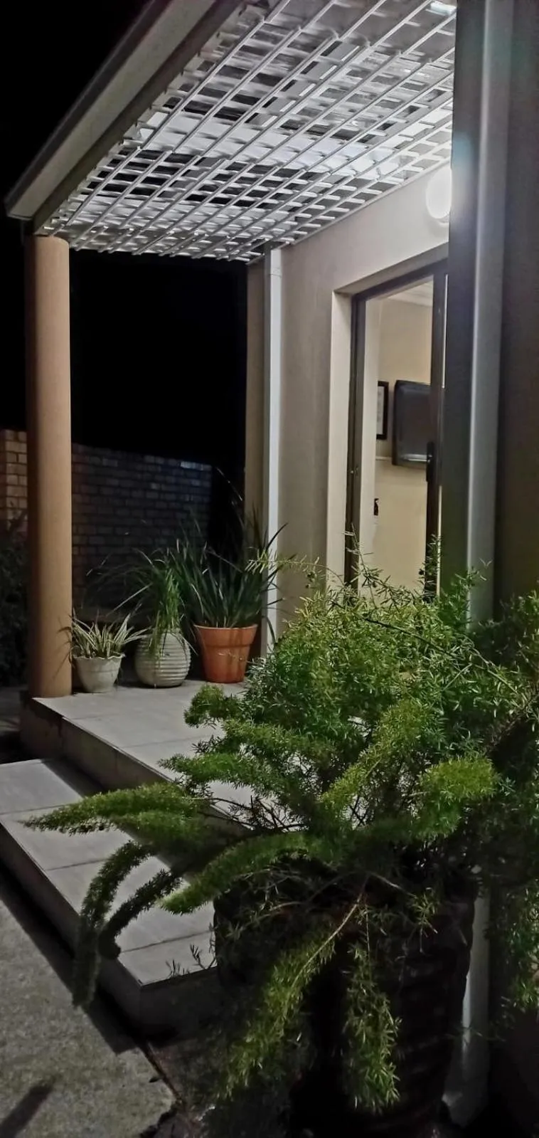 Night in Bhotani-on-Bax