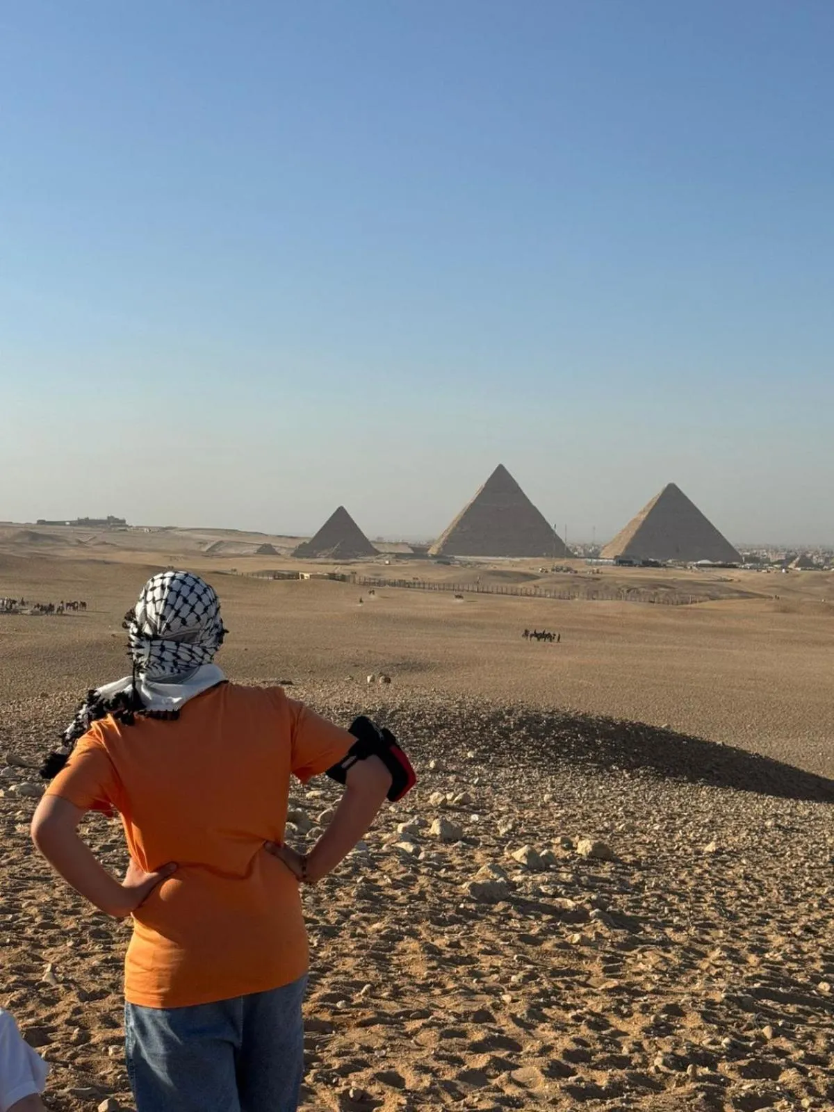 Nearby landmark in Pyramids Oasis Hotel