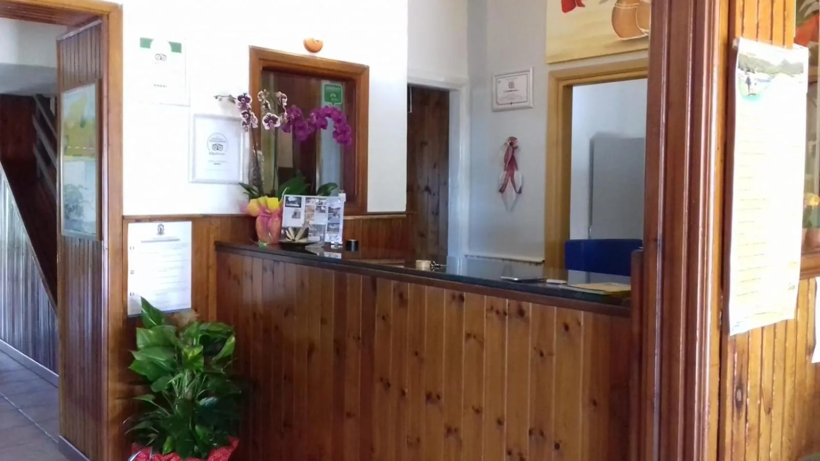 Lobby or reception in Hotel Pinguino