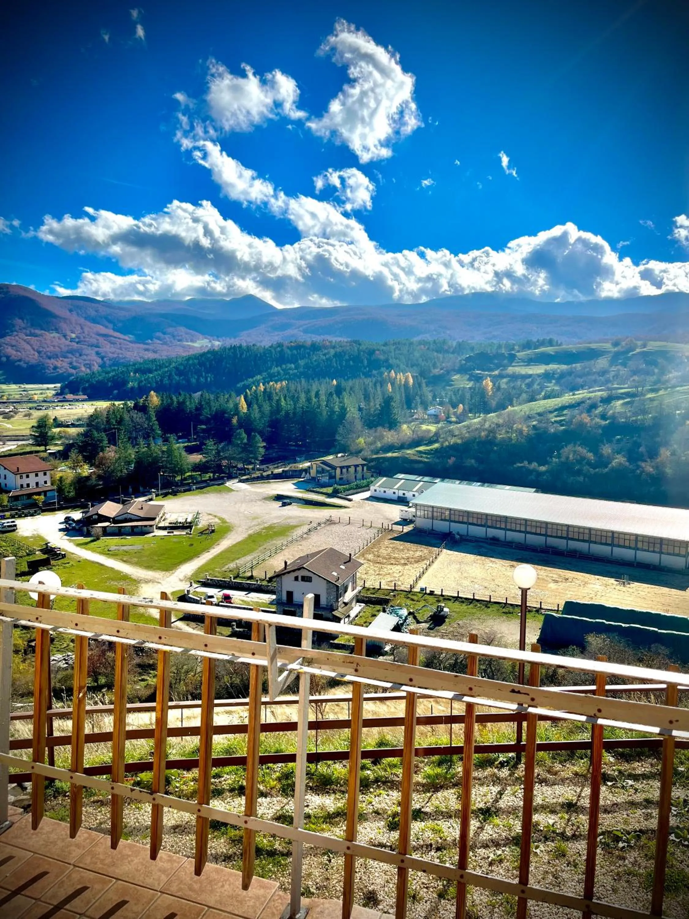 View (from property/room) in Hotel Pinguino