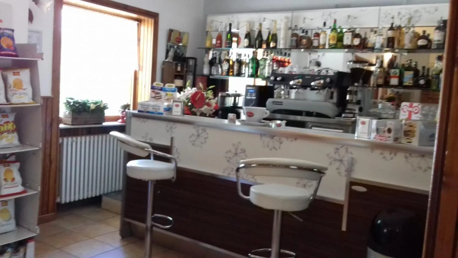 Lounge or bar in Hotel Pinguino