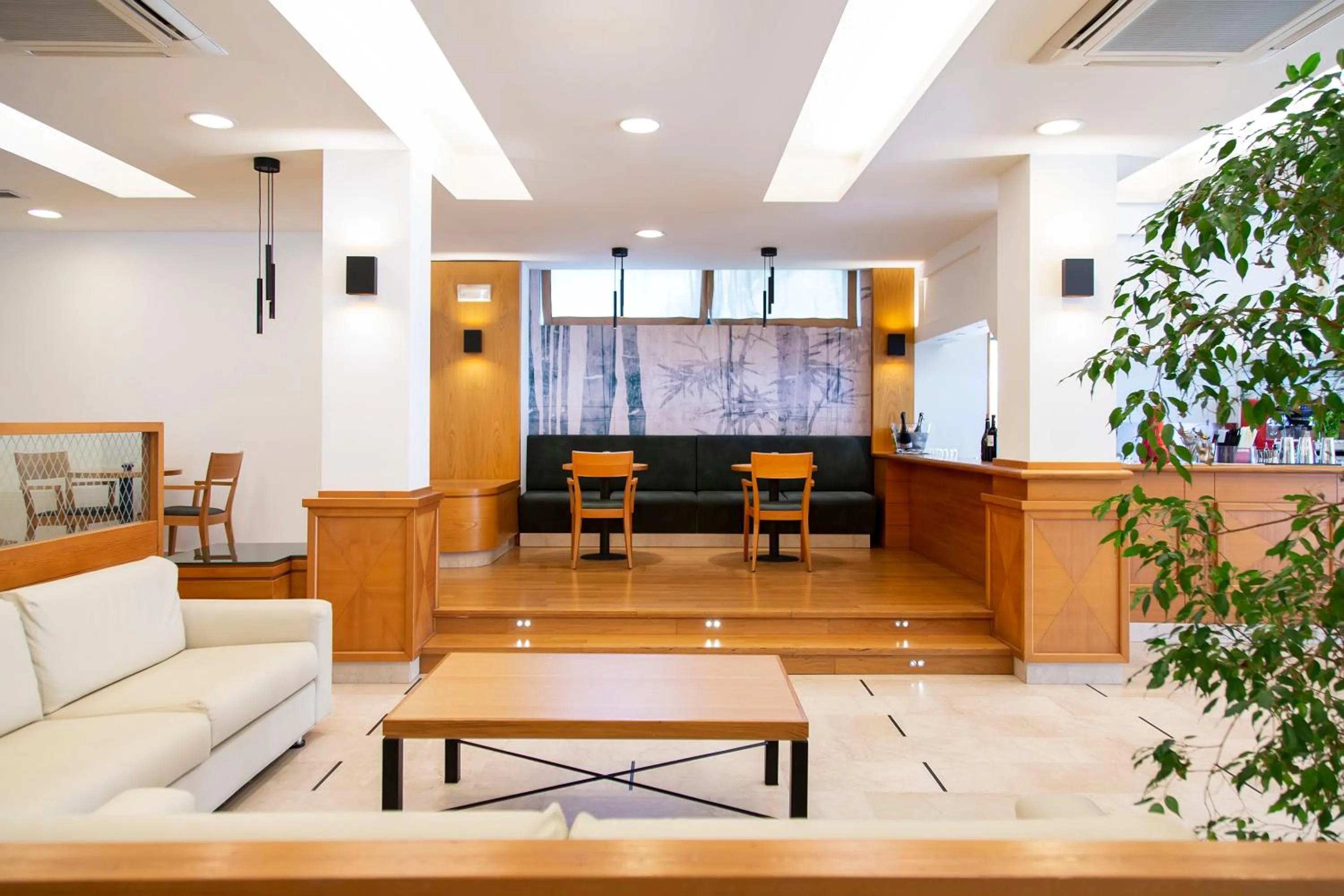 Lounge or bar in Park Hotel Casimiro