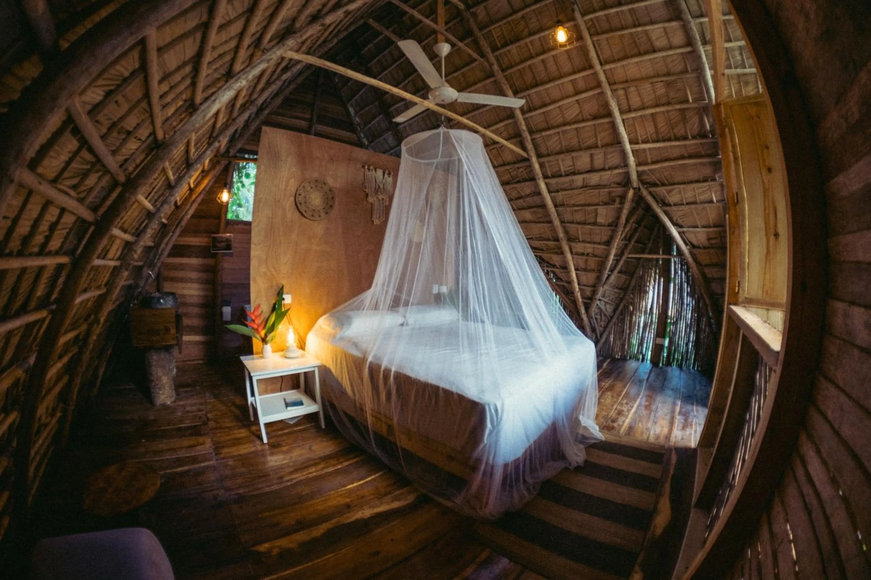 Photo of the whole room, Bed in La Colmena RD