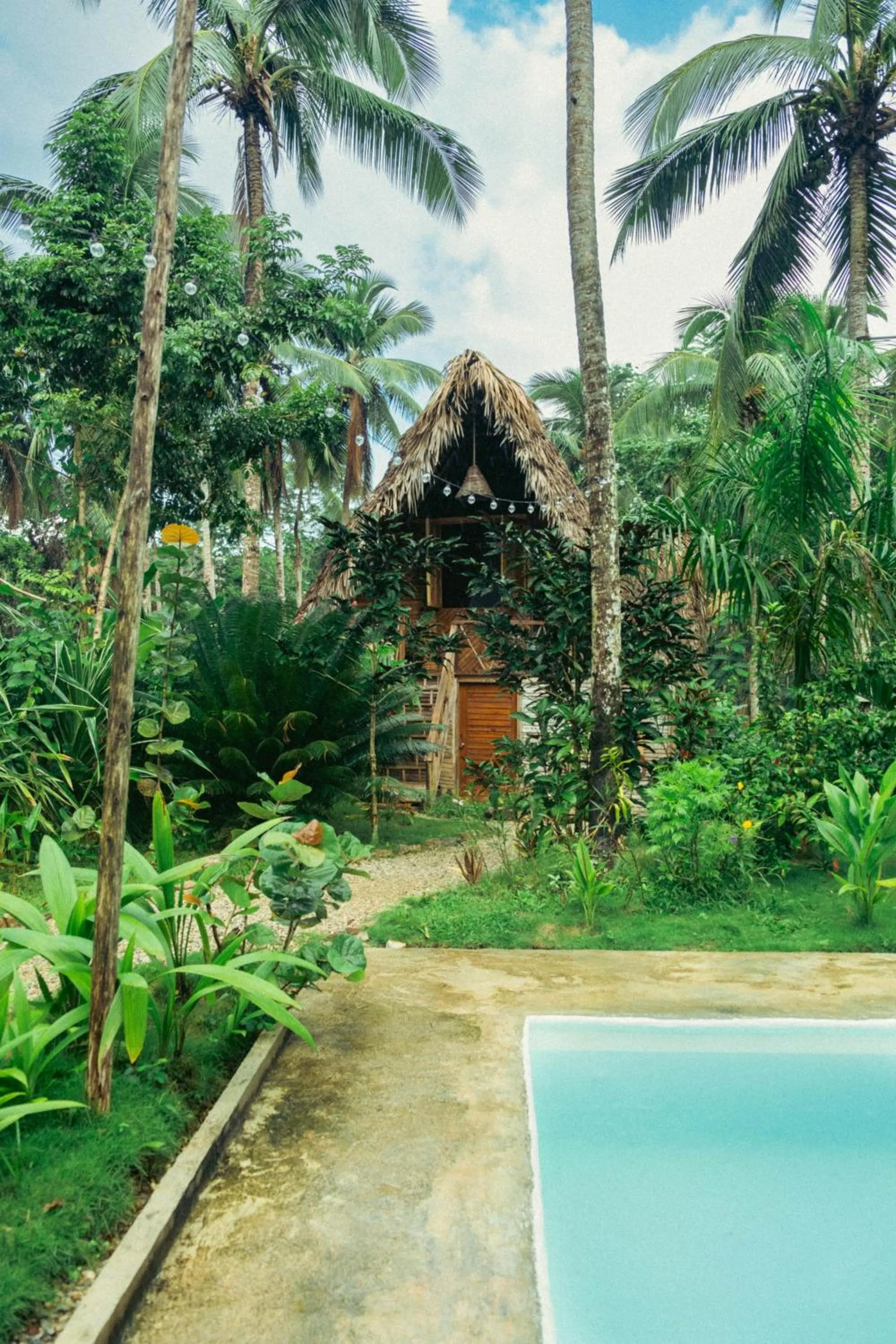 Swimming pool in La Colmena RD