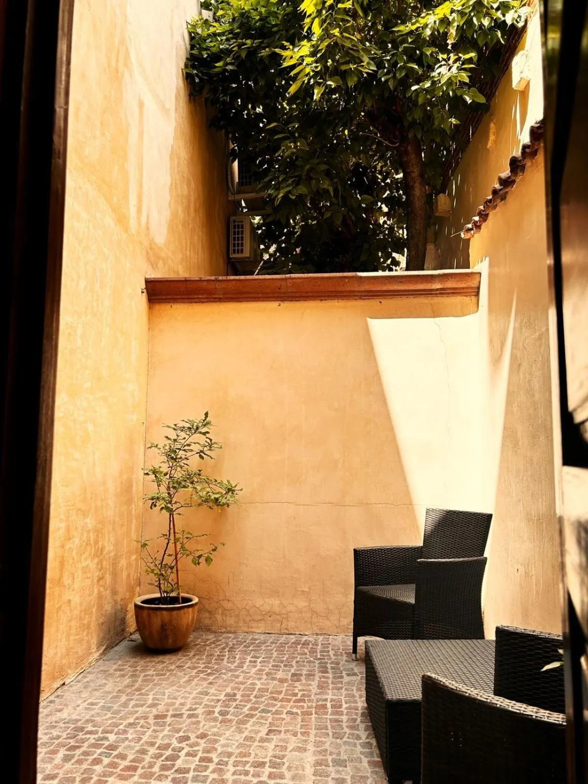 Patio in Bito's Hotel Boutique
