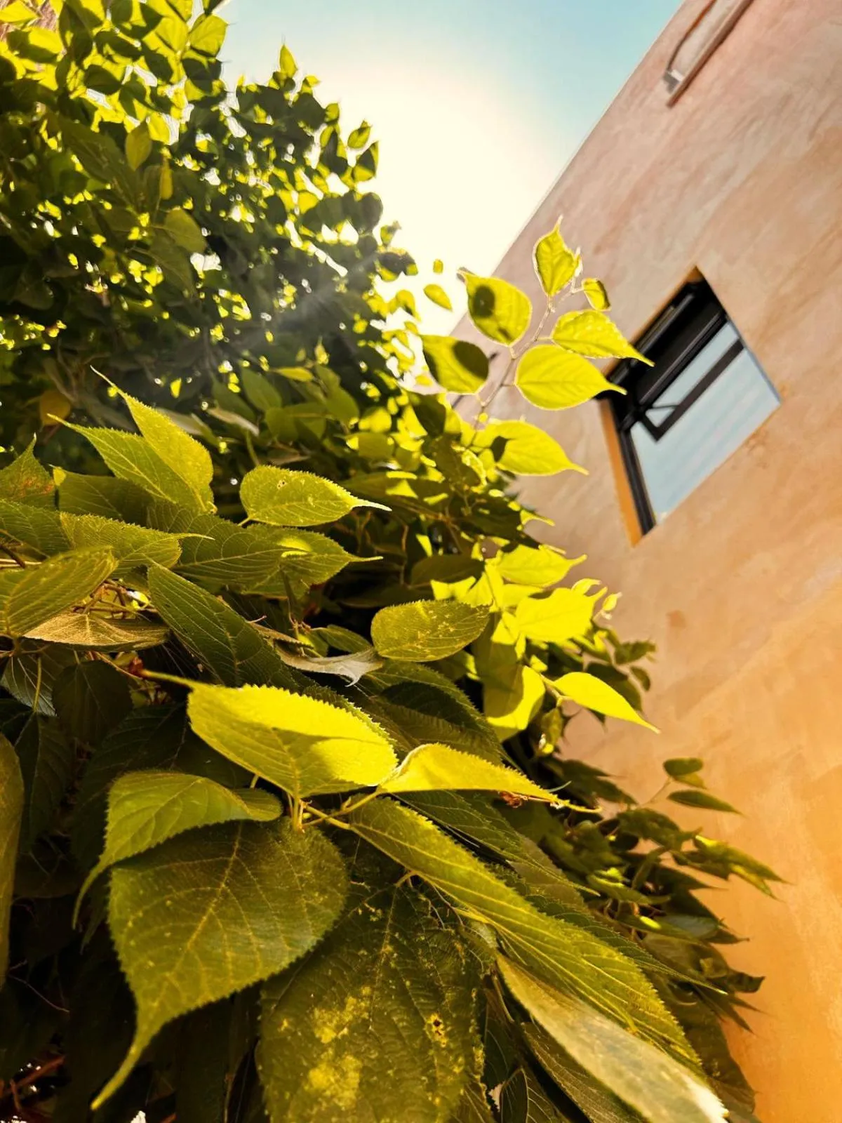 Bito's Hotel Boutique