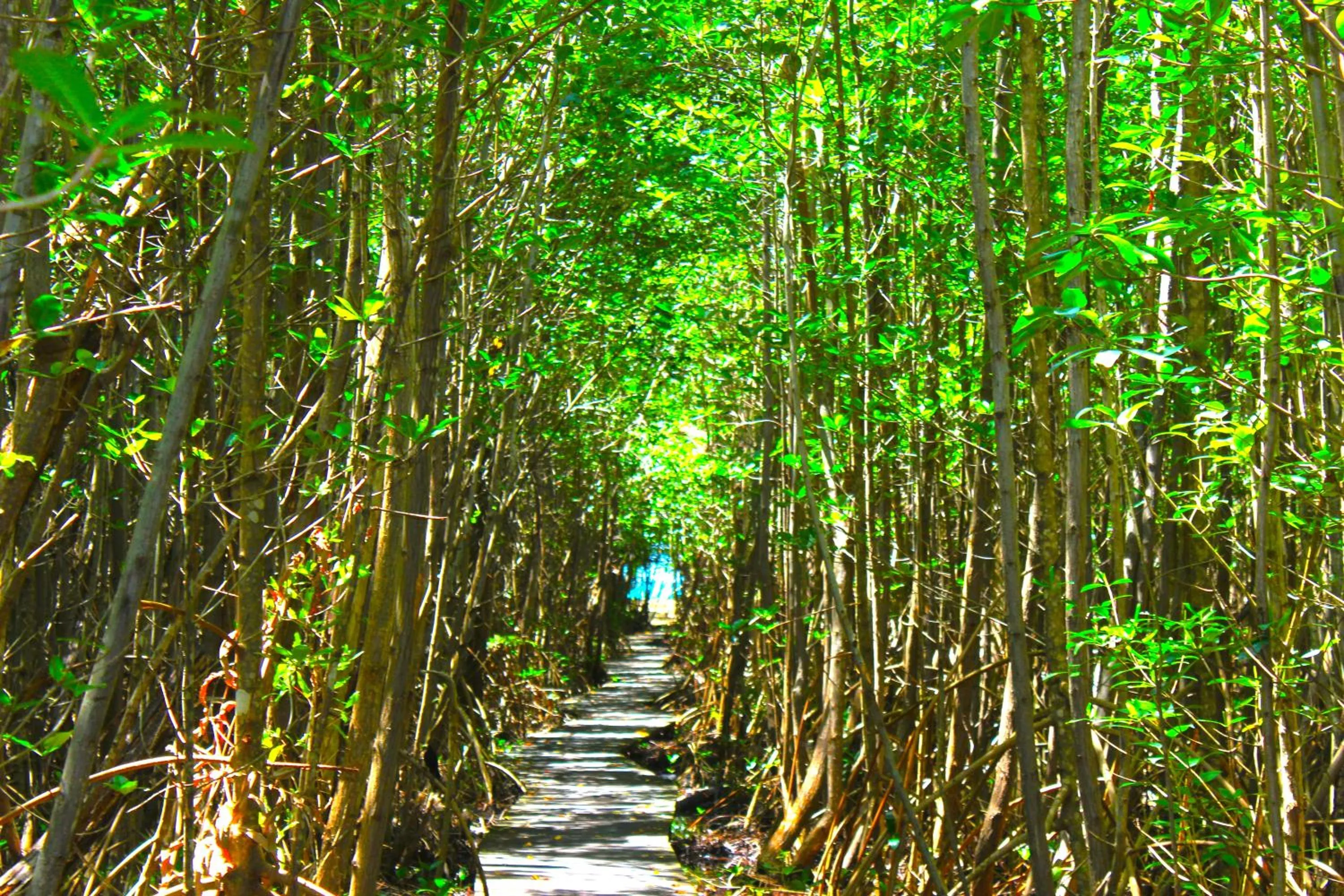 Day in Residence Les Cayalines