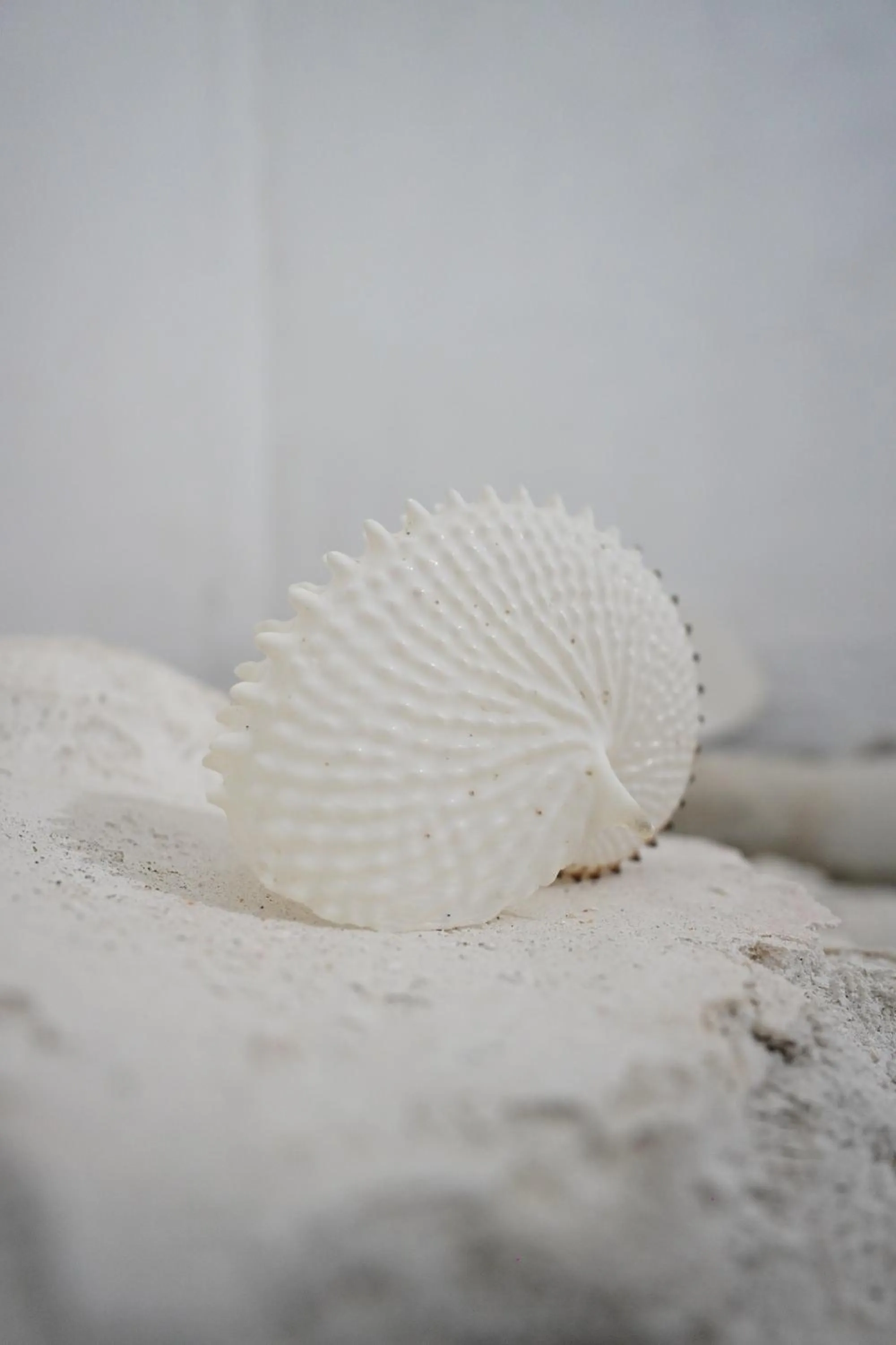 Decorative detail in Pousada Frezza Mergulho