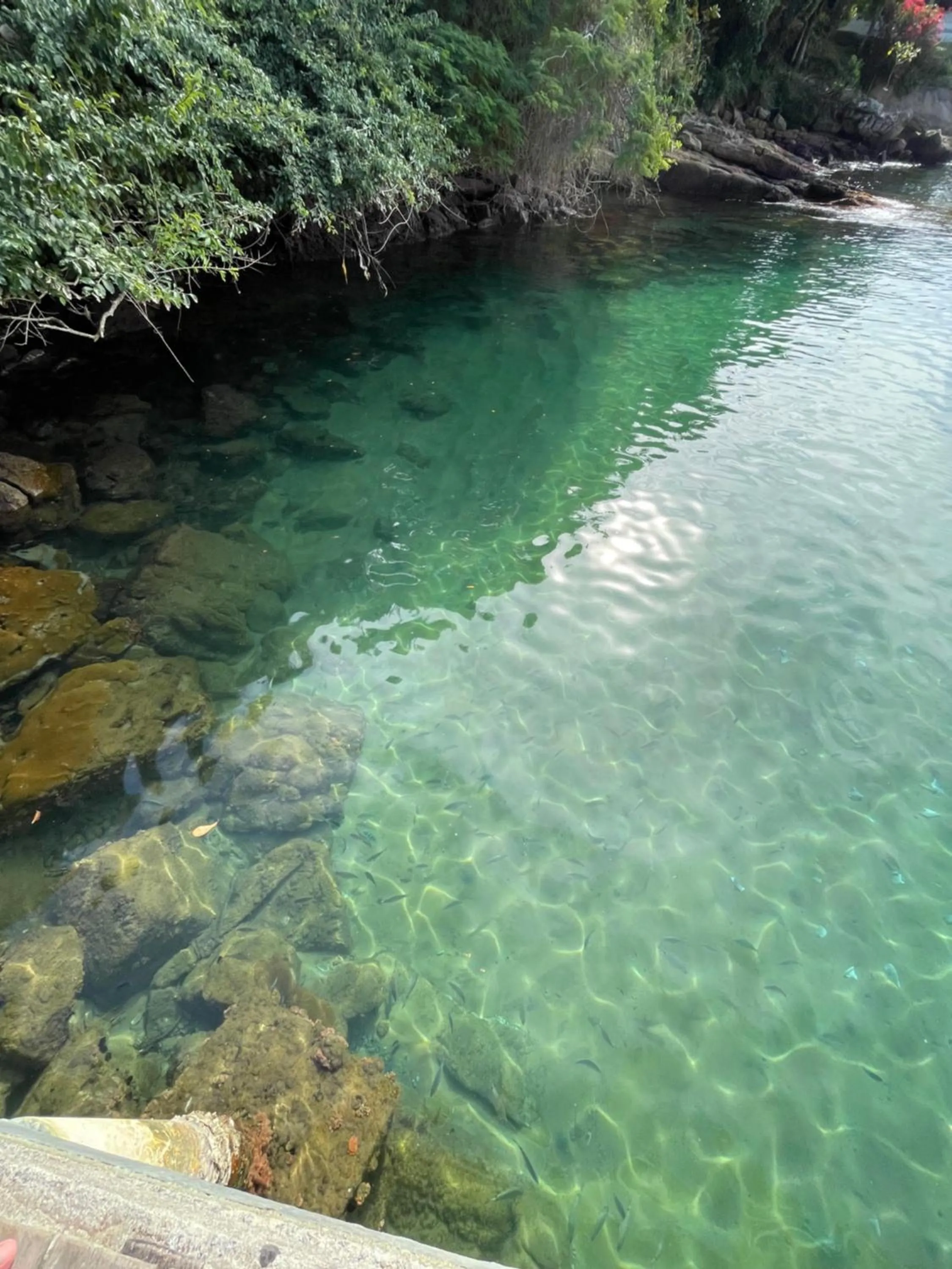 Day in Pousada Frezza Mergulho