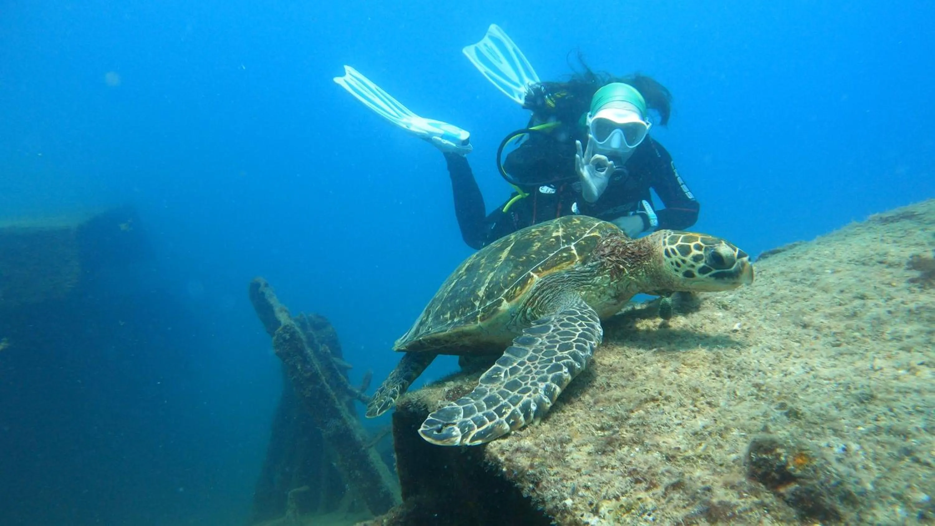 Snorkeling in Pousada Frezza Mergulho