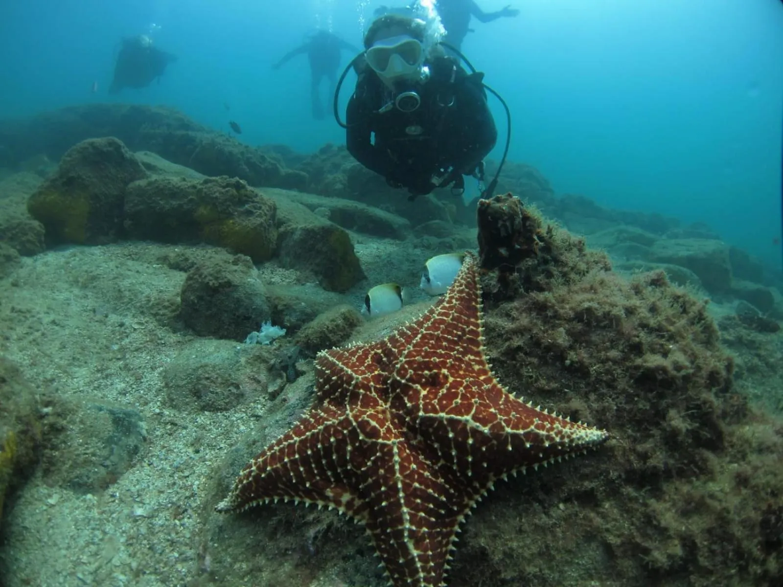 People in Pousada Frezza Mergulho