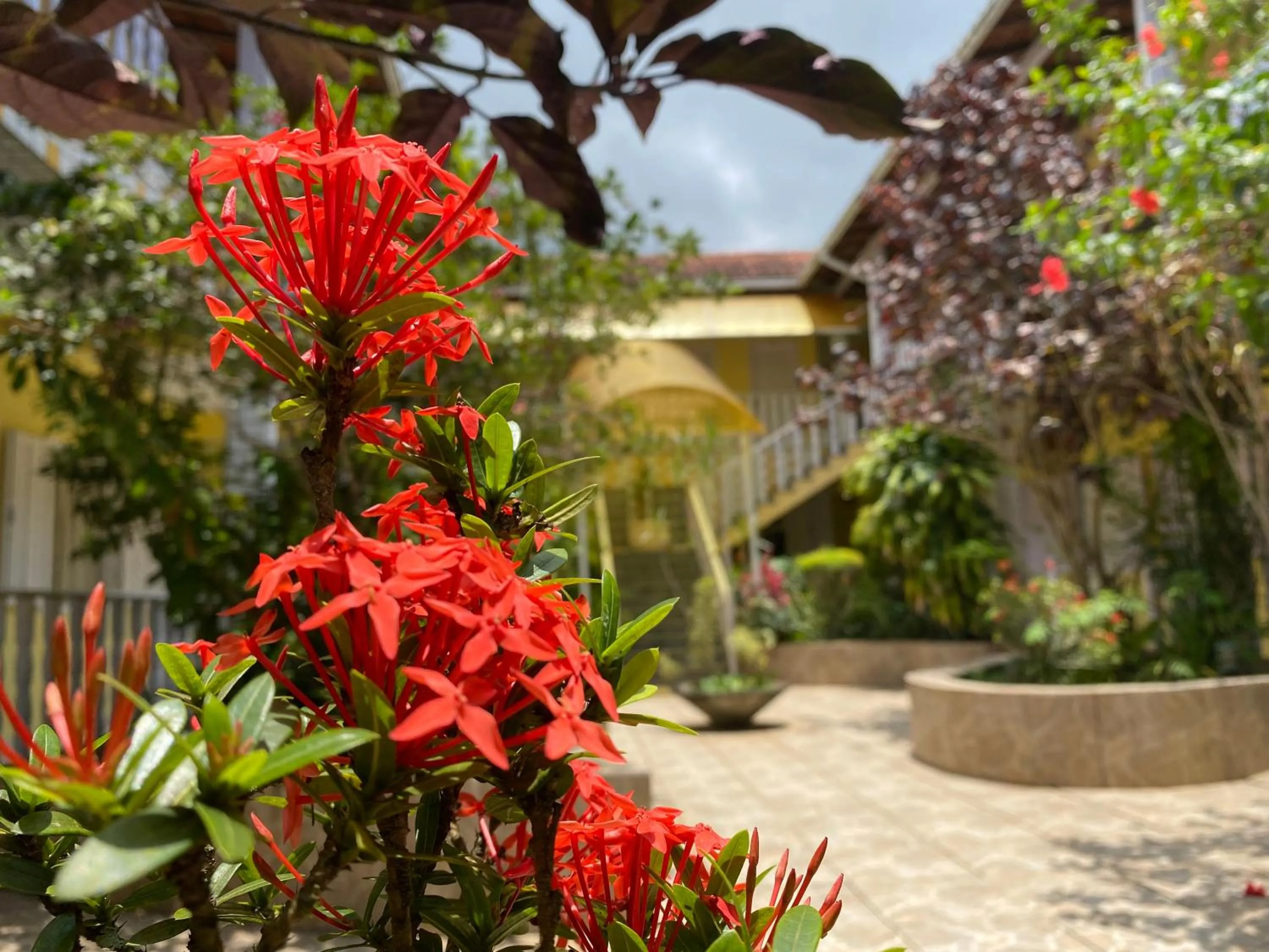 Garden in Pousada Frezza Mergulho